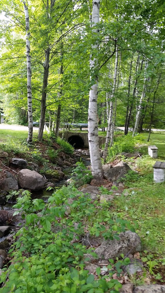 Property grounds, Jackson NH Peaceful, Country Cottage / Access to Fabulous Amenities