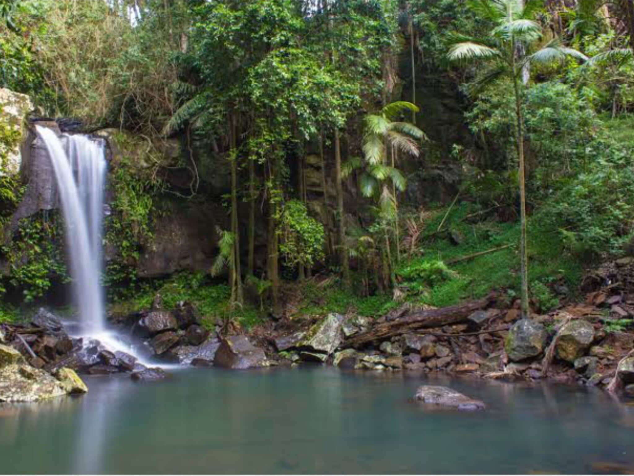 Modern Gold Coast Suite/ Close to Theme Parks with Mountain views