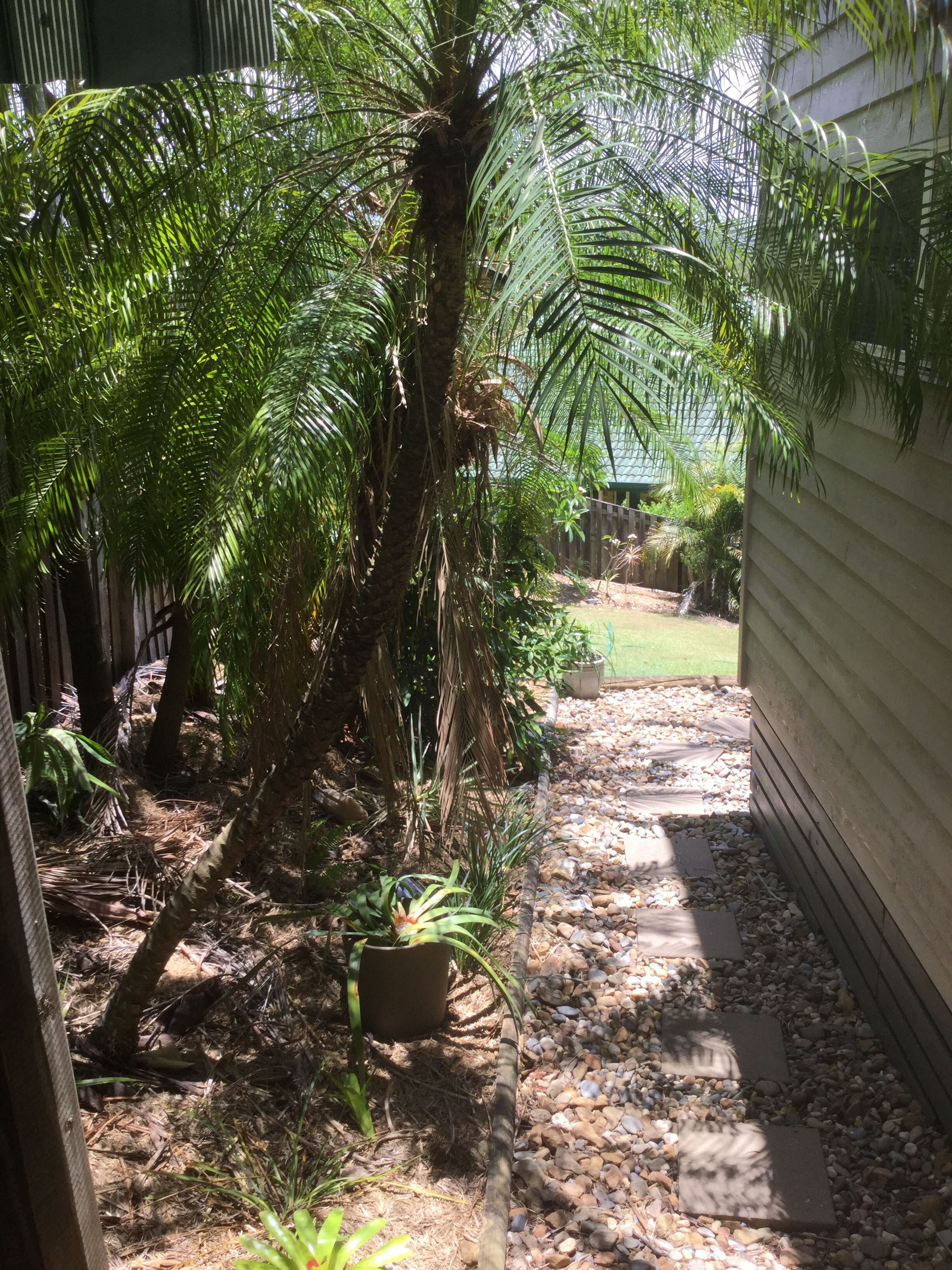 Modern Gold Coast Suite/ Close to Theme Parks with Mountain views