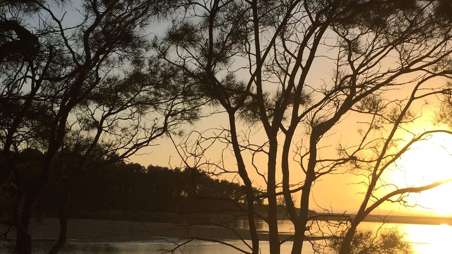 Moonee Habitat B&B - The Perfect Stopover