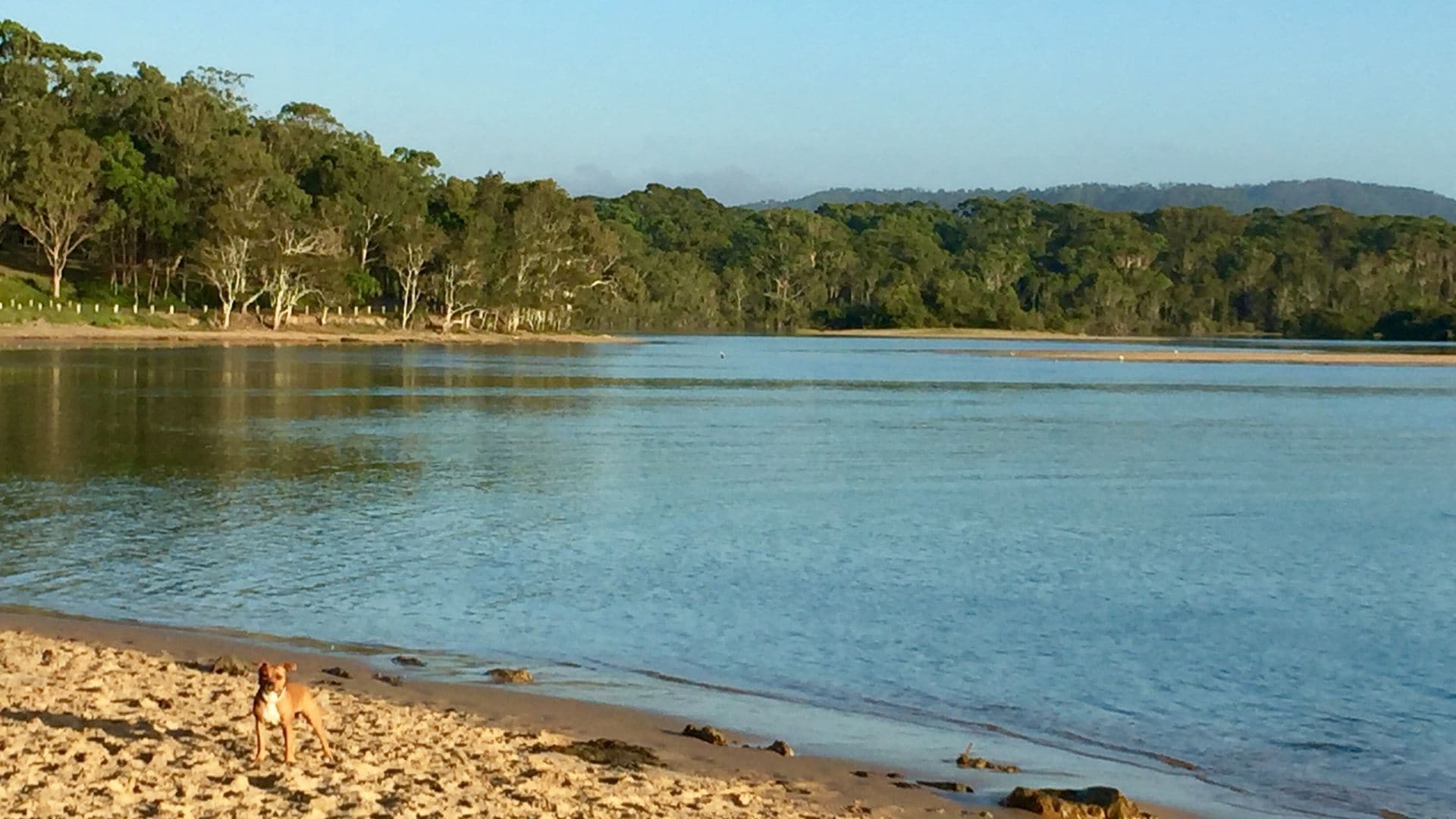 Moonee Habitat B&B - The Perfect Stopover