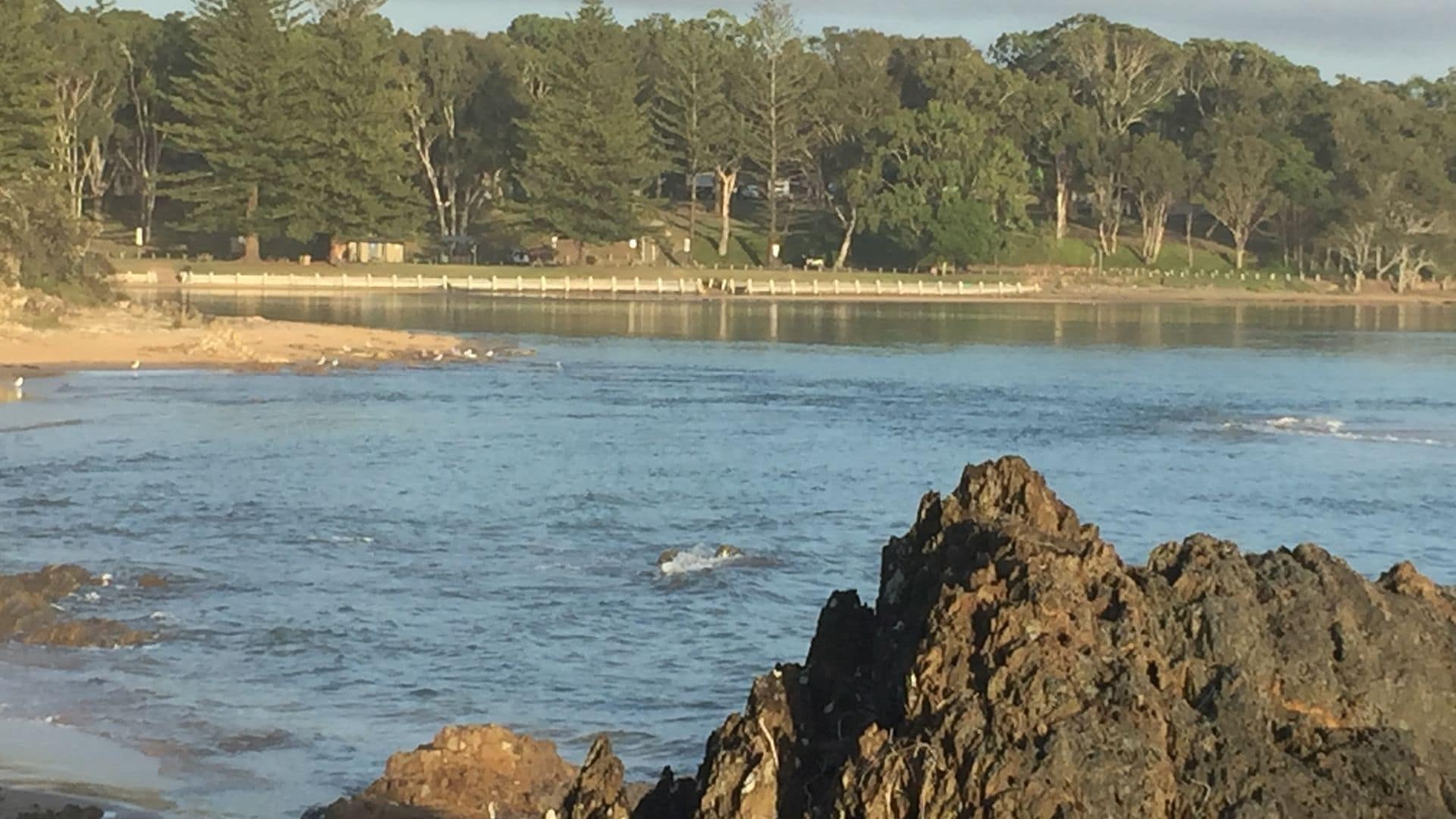 Moonee Habitat B&B - The Perfect Stopover