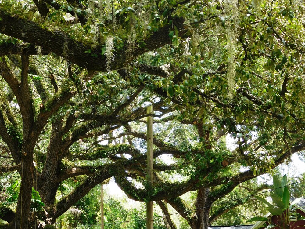 A Broad Street Studio