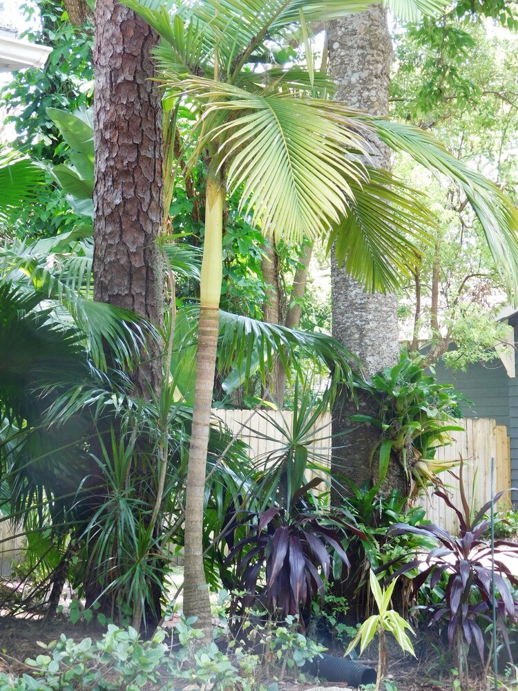 A Broad Street Studio