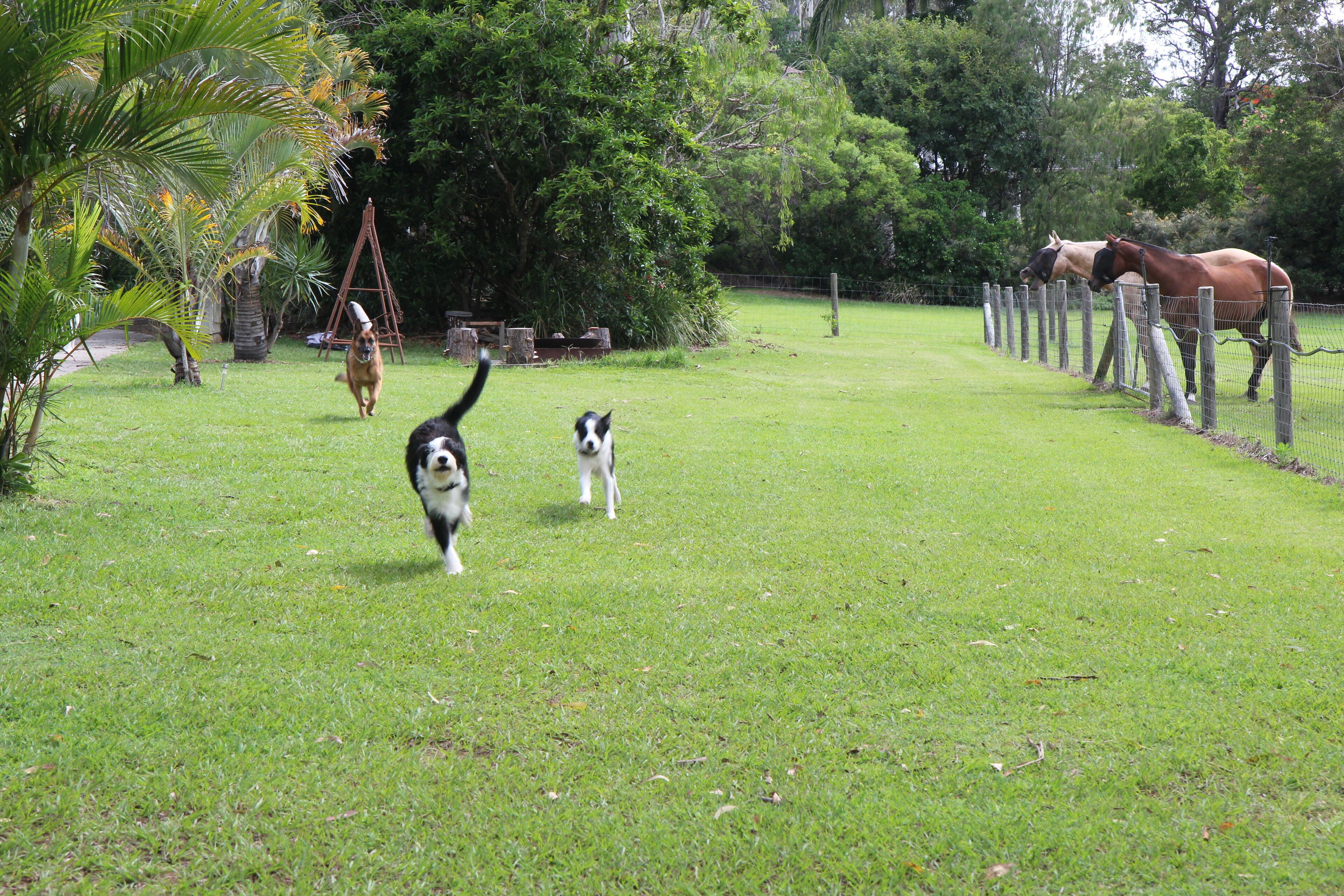 Samford Valley Resort Style Retreat 'Navillus'