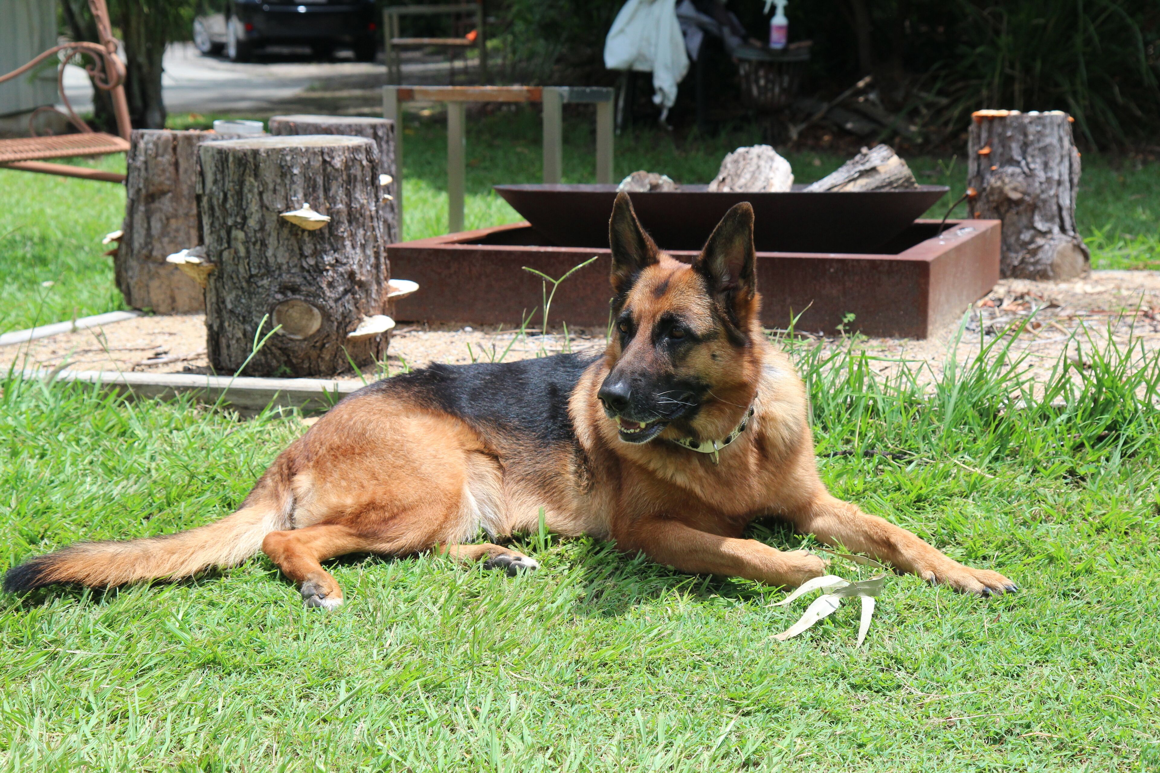 Samford Valley Resort Style Retreat 'Navillus'