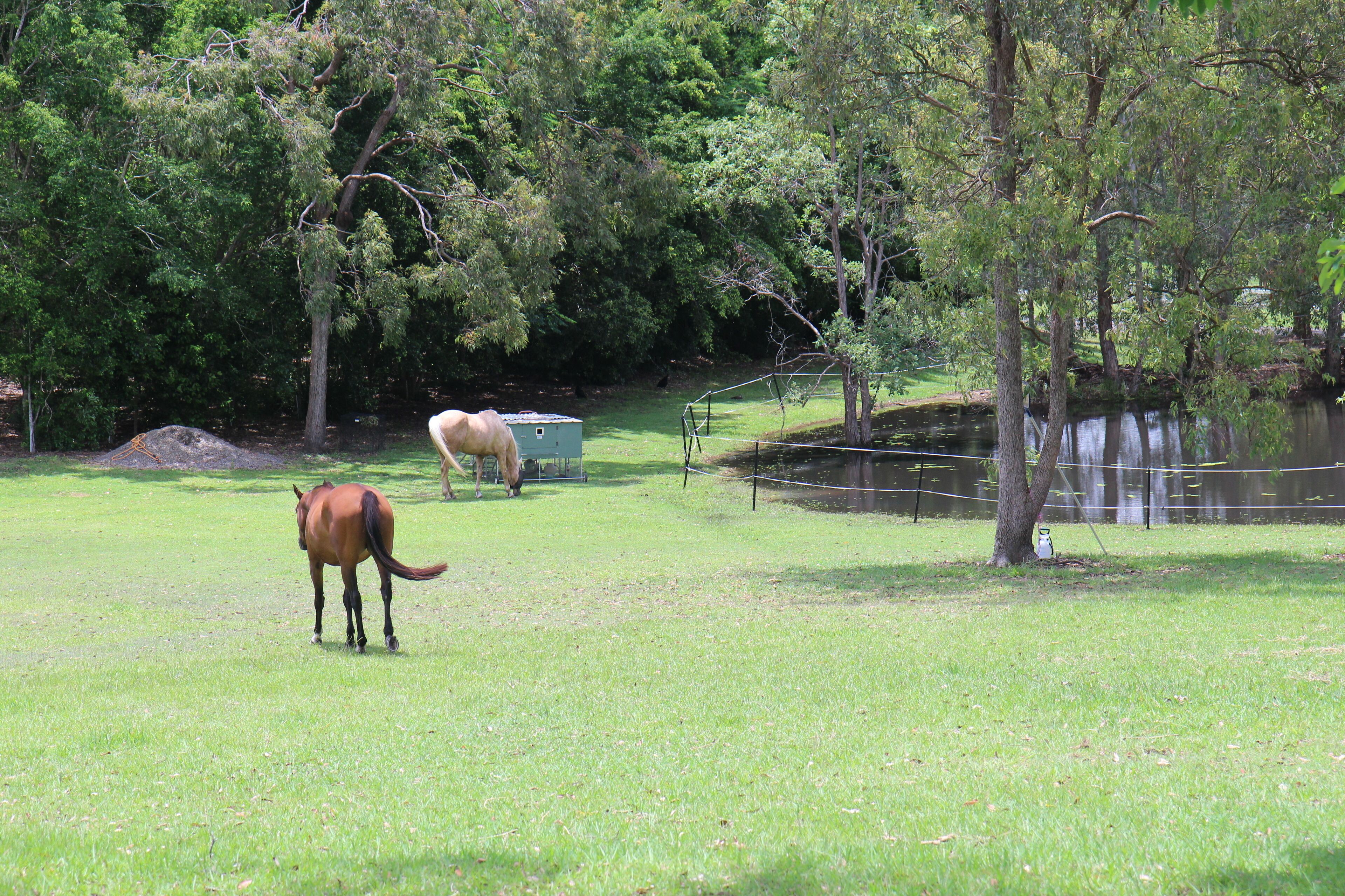 Samford Valley Resort Style Retreat 'Navillus'