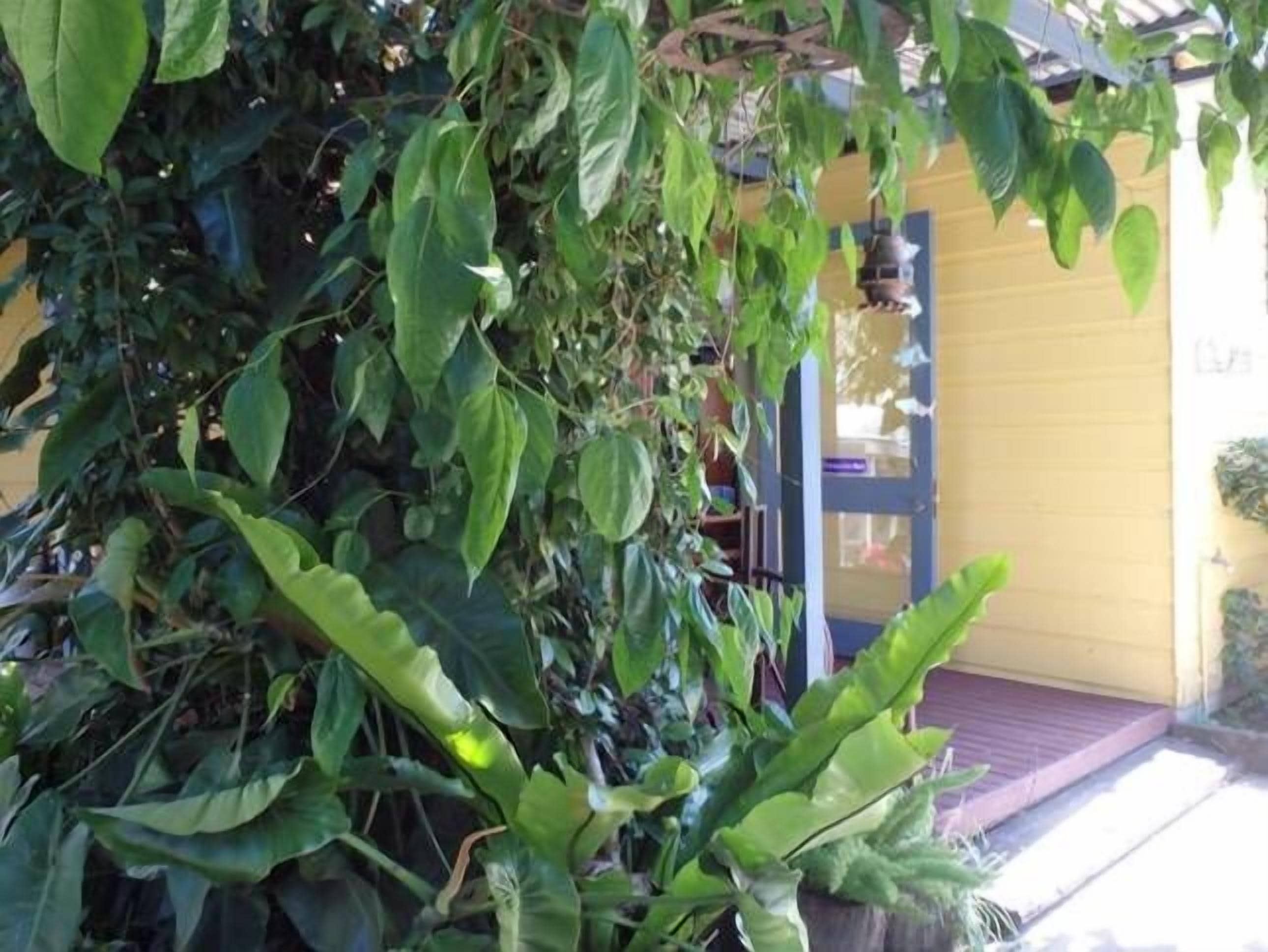 Mulberry Cottage -  2 Minute walk to town