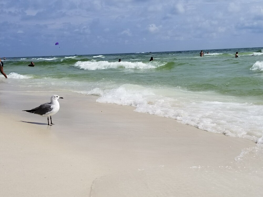 FIRST Floor BEACHFRONT 2 BDR/2BA Tidewater Condo, Max 6, Families Only