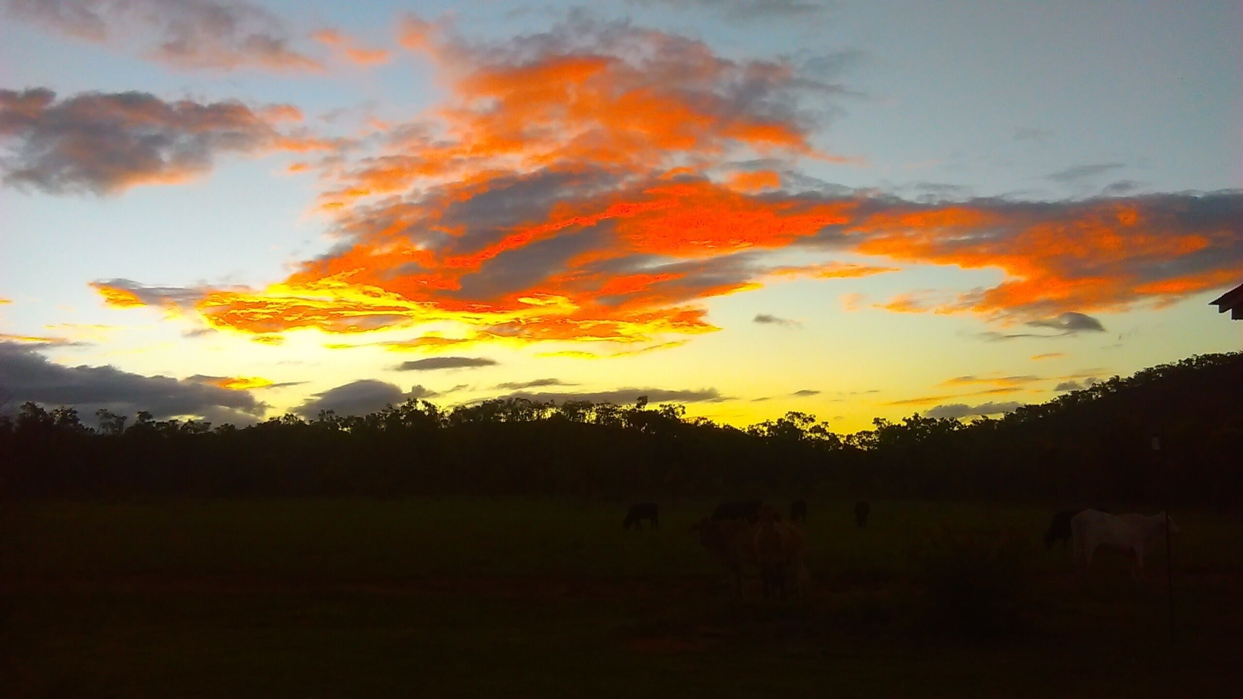 Ironbark House Dimbulah: Boutique Two Bedroom House looking over the Outback