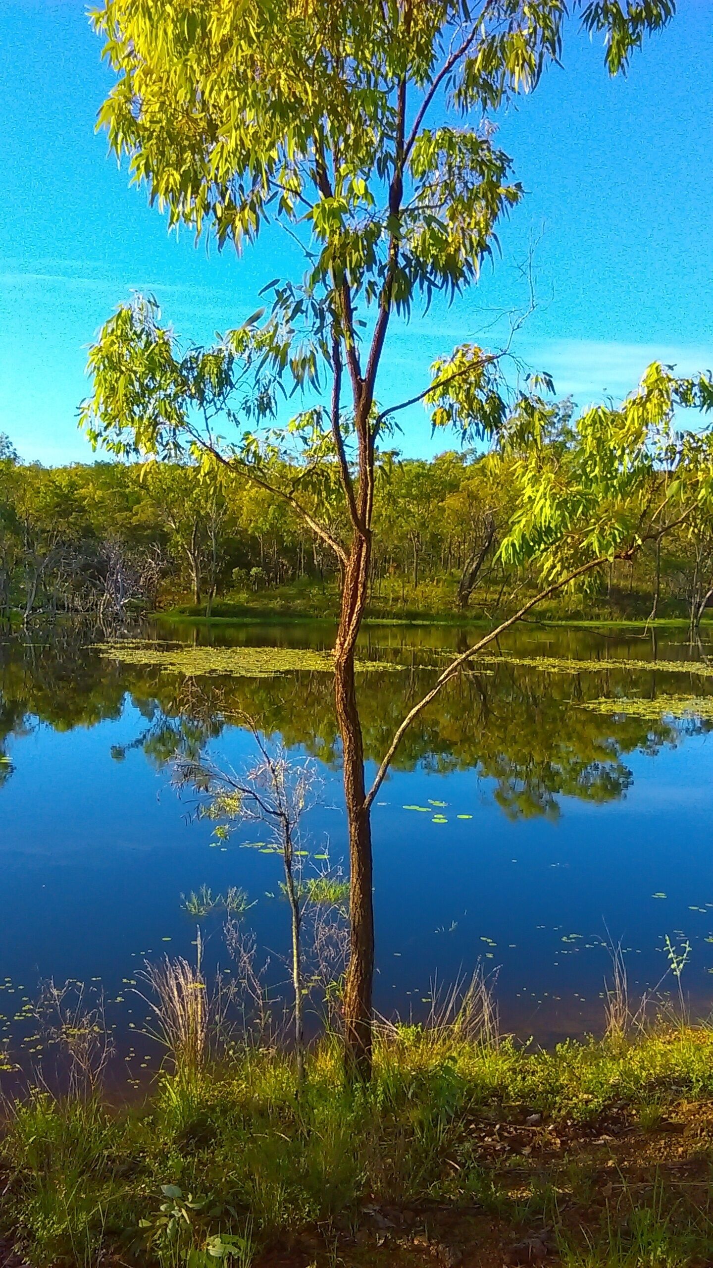 Ironbark House Dimbulah: Boutique Two Bedroom House looking over the Outback