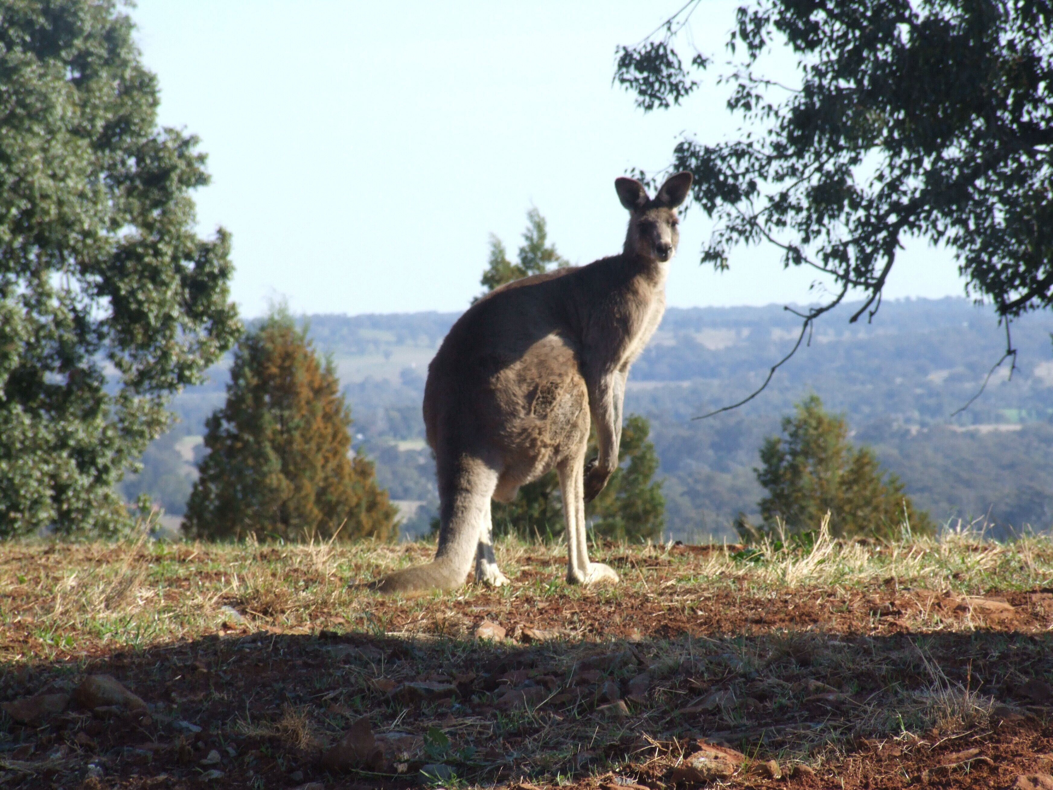 Earth Studio with shared kitchen, short drive to Zoo, rural setting