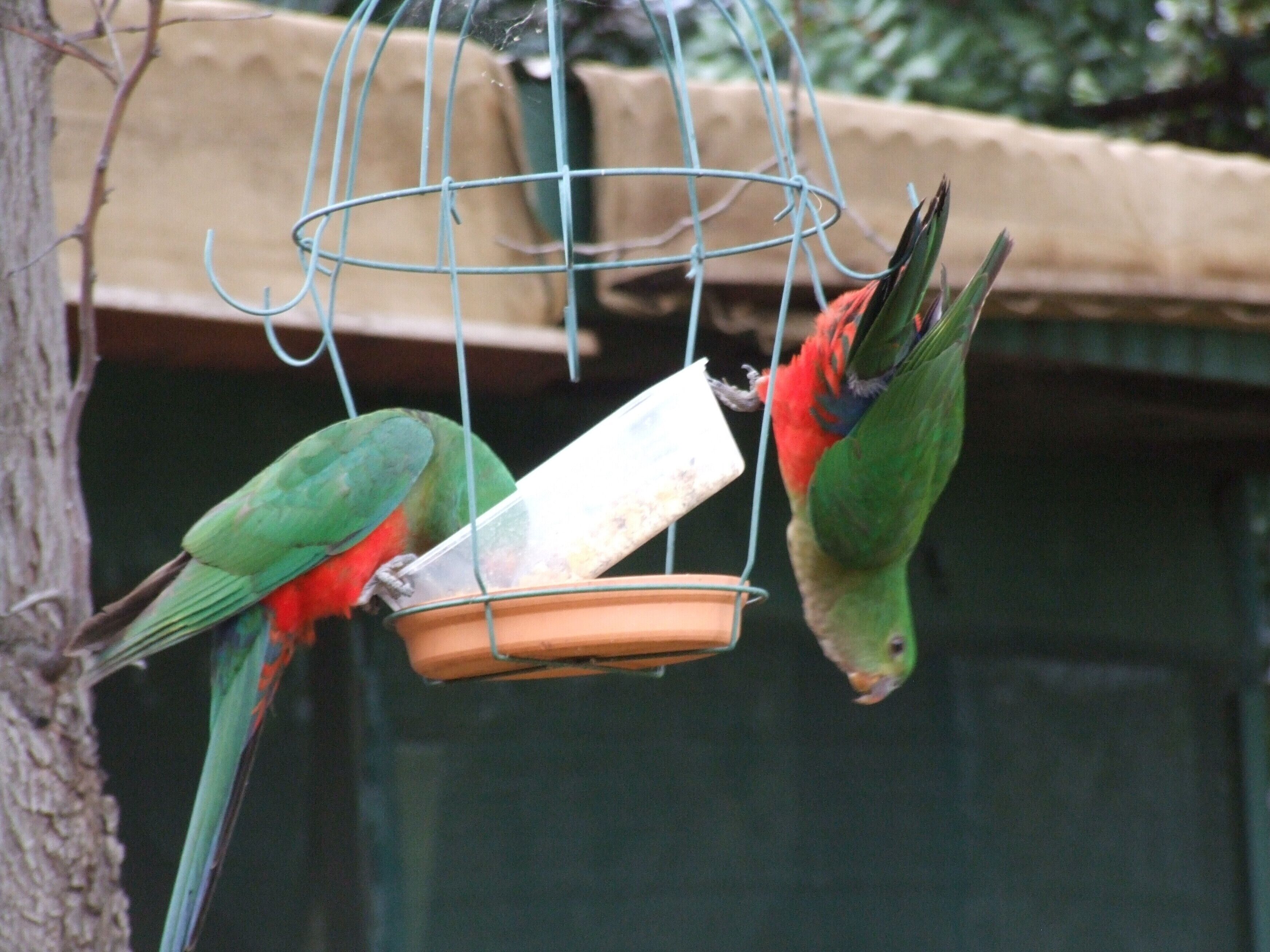 Earth Studio with shared kitchen, short drive to Zoo, rural setting