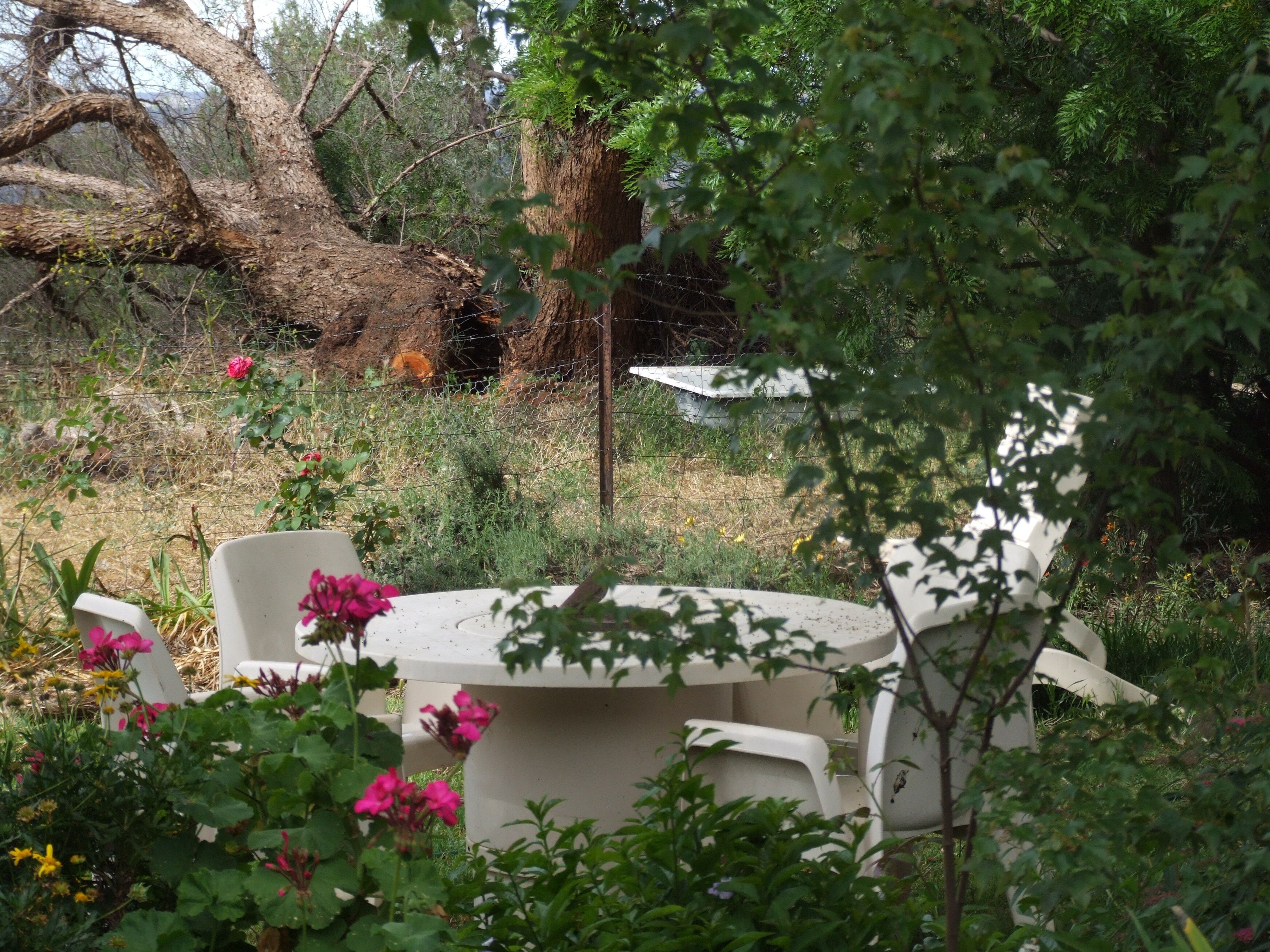 Earth Studio with shared kitchen, short drive to Zoo, rural setting