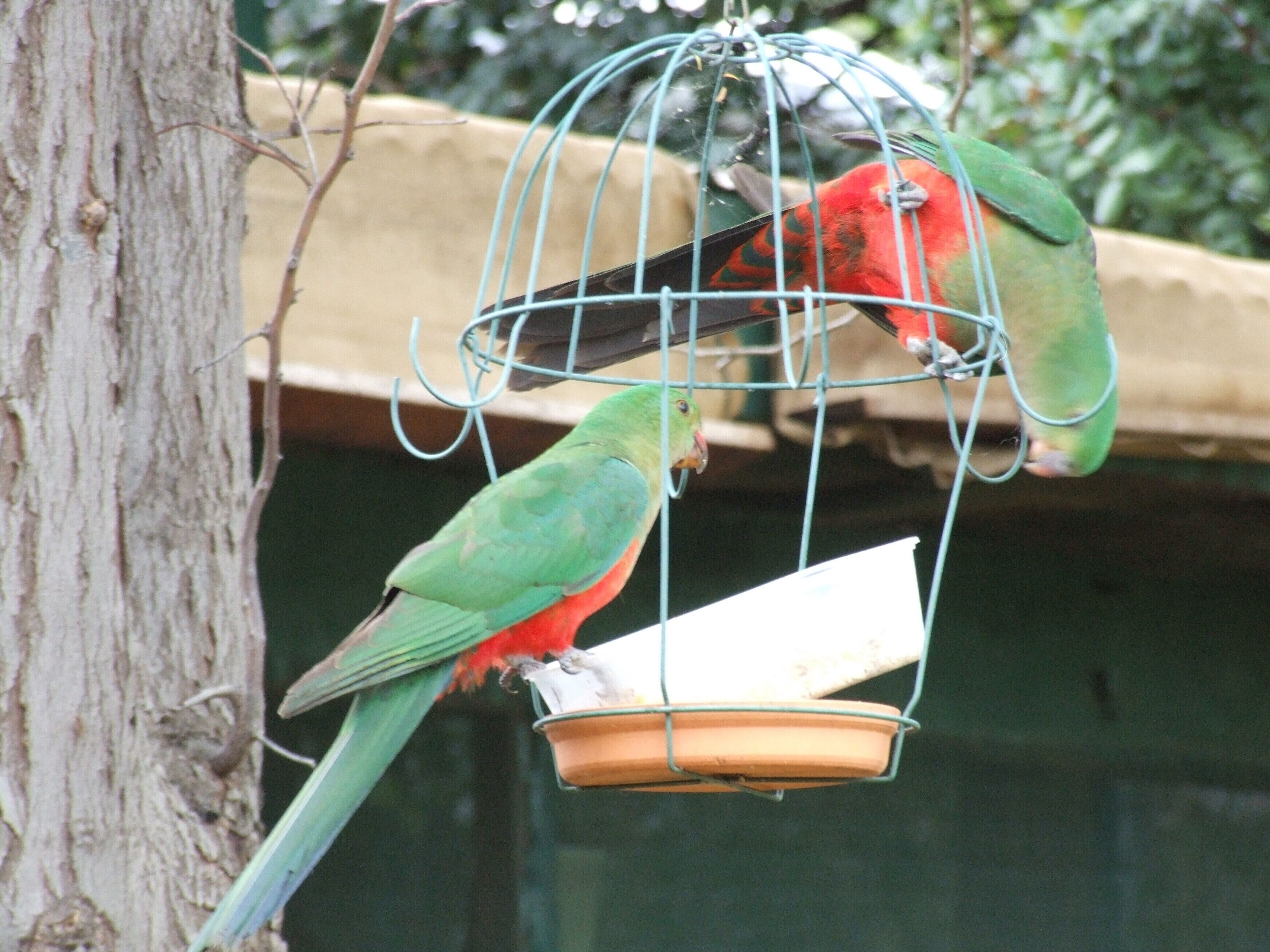 Earth Studio with shared kitchen, short drive to Zoo, rural setting