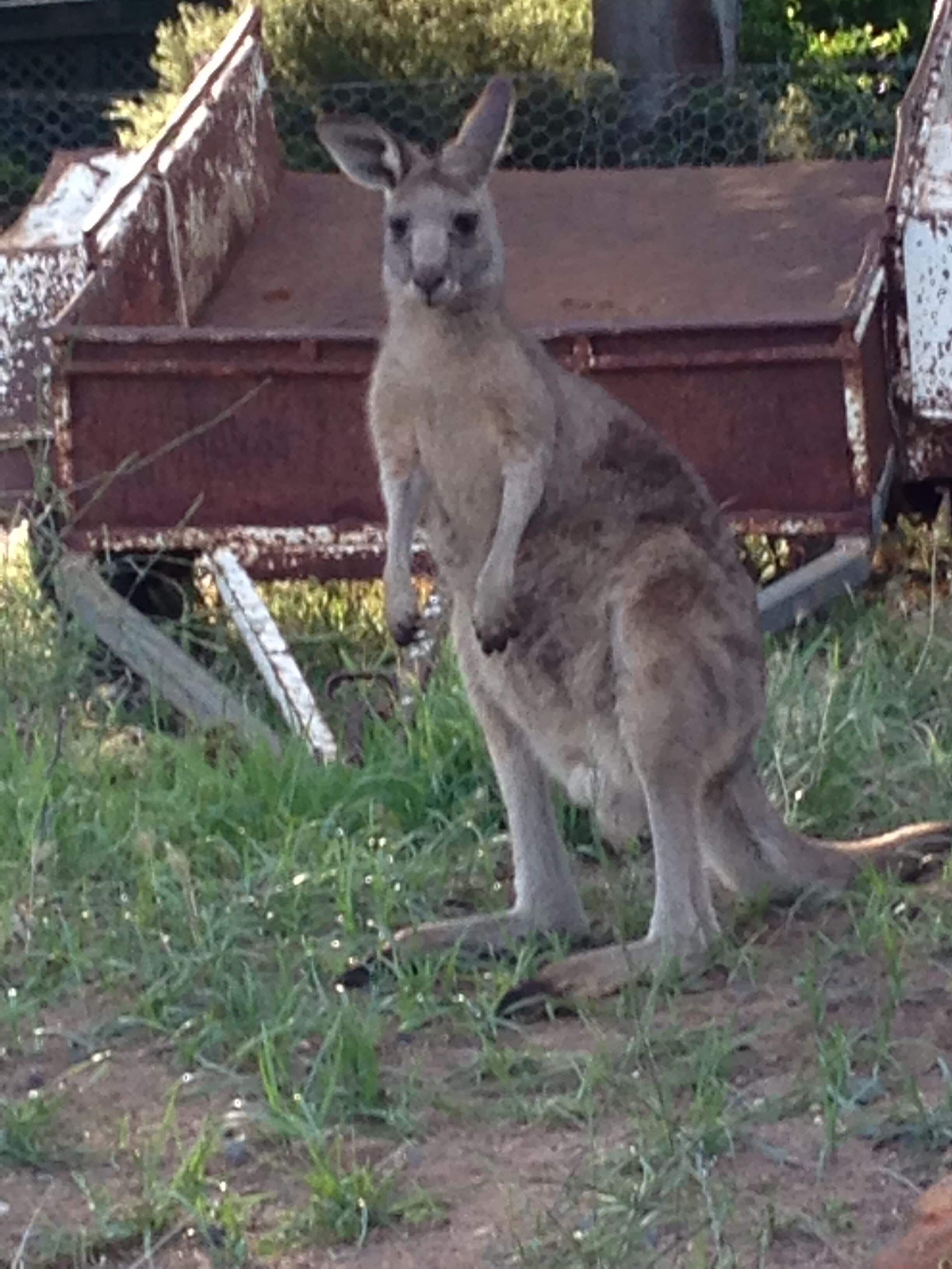 Earth Studio with shared kitchen, short drive to Zoo, rural setting