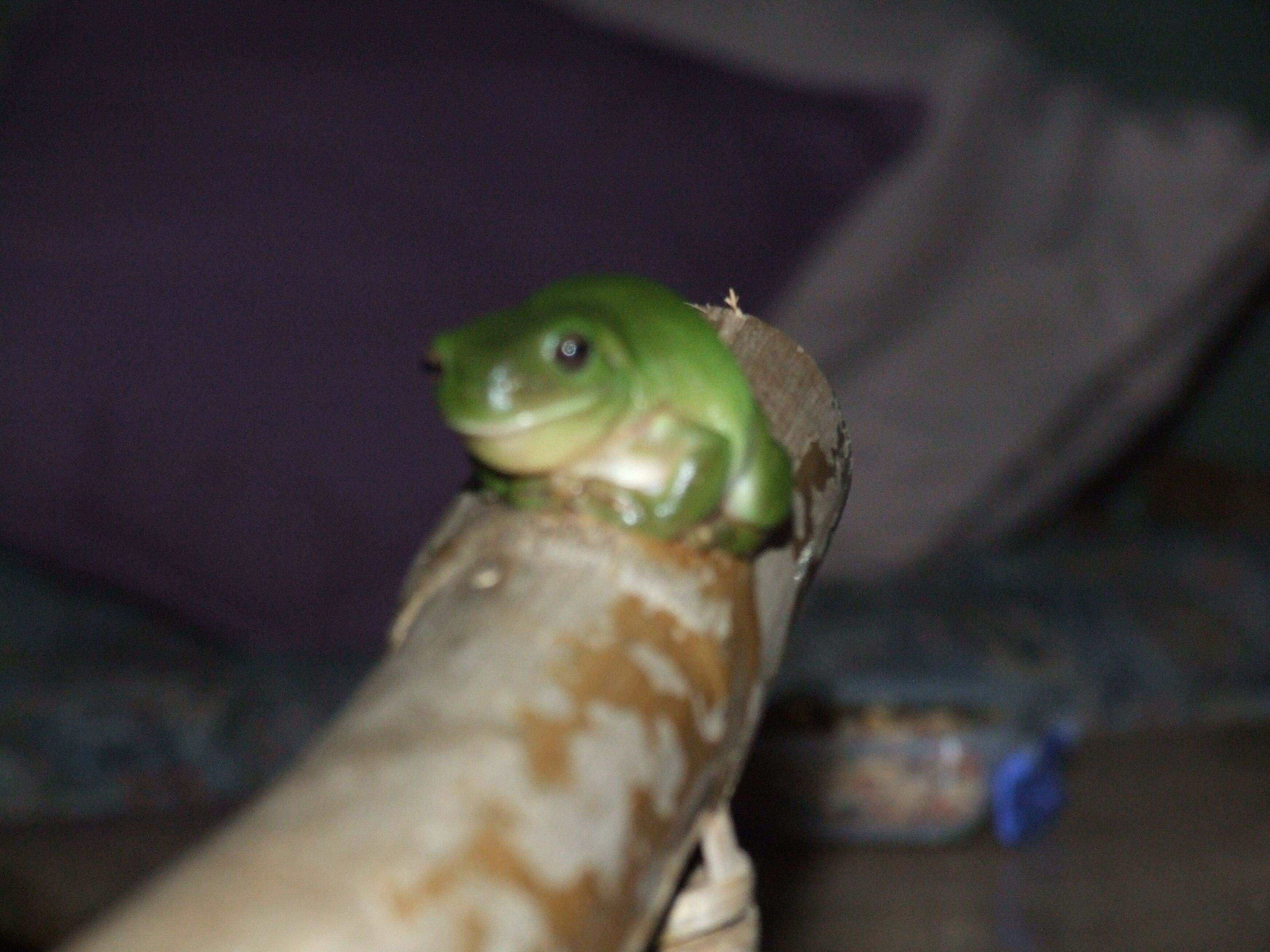 Earth Studio with shared kitchen, short drive to Zoo, rural setting