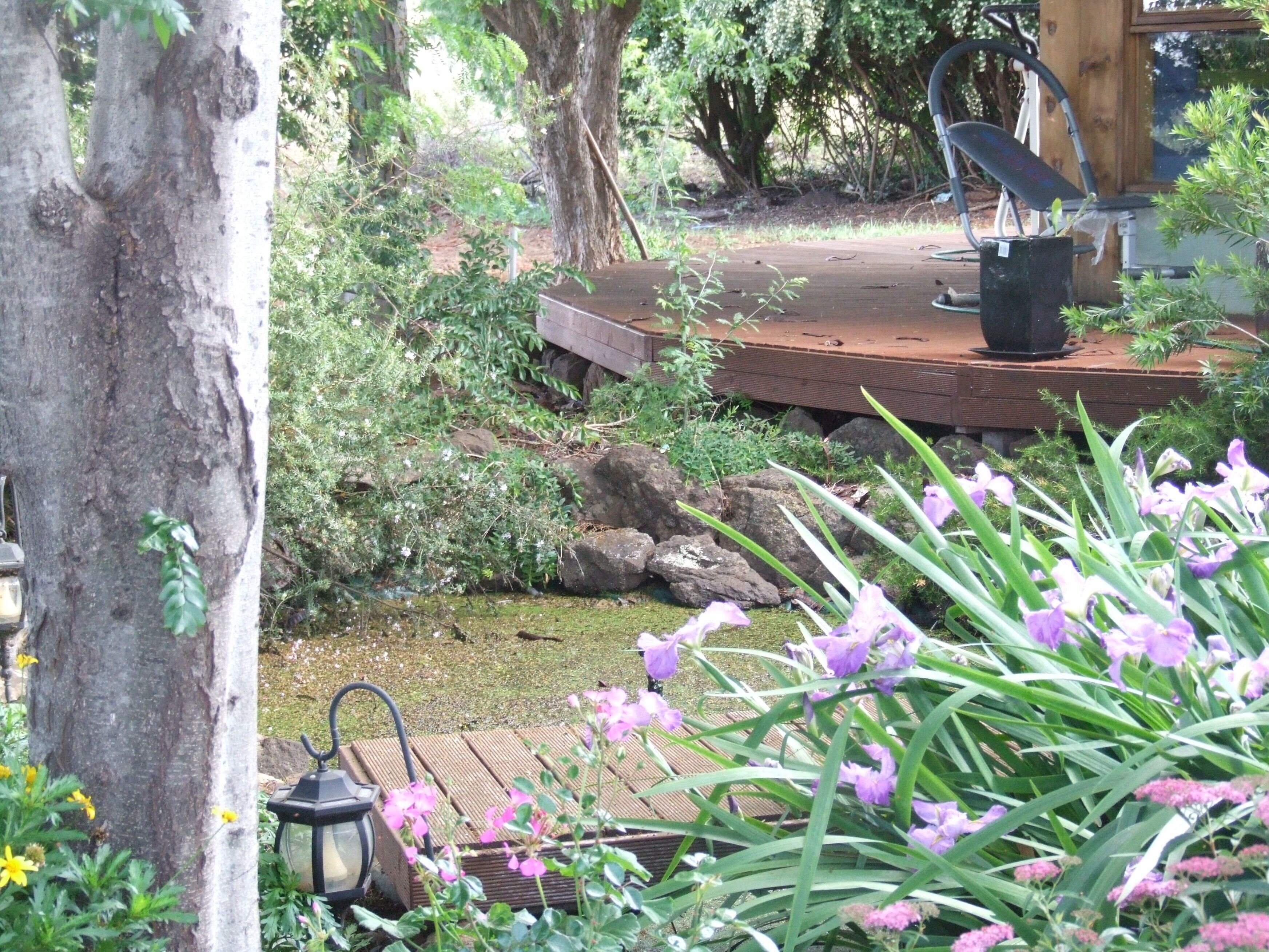 Earth Studio with shared kitchen, short drive to Zoo, rural setting