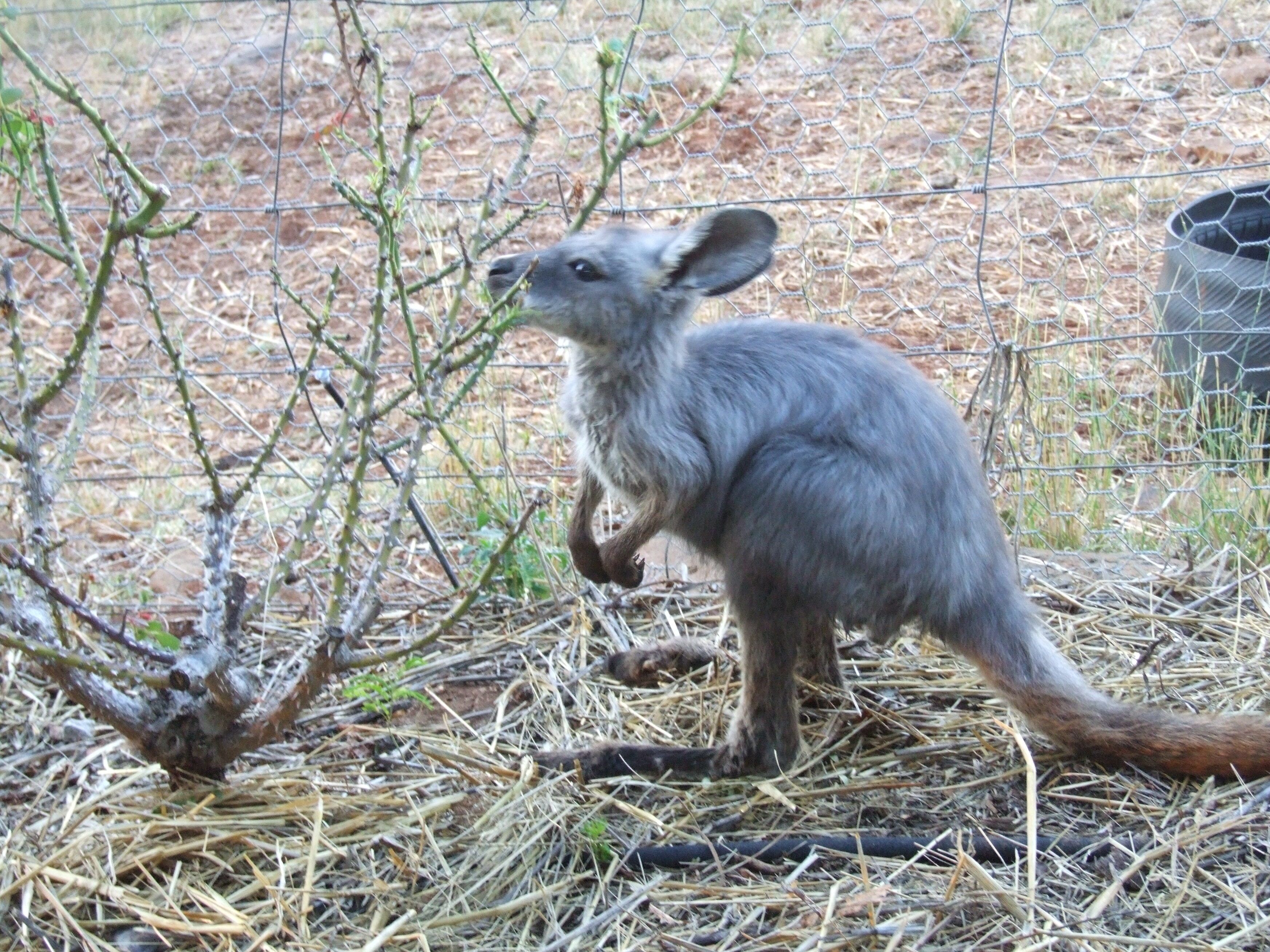 Earth Studio with shared kitchen, short drive to Zoo, rural setting