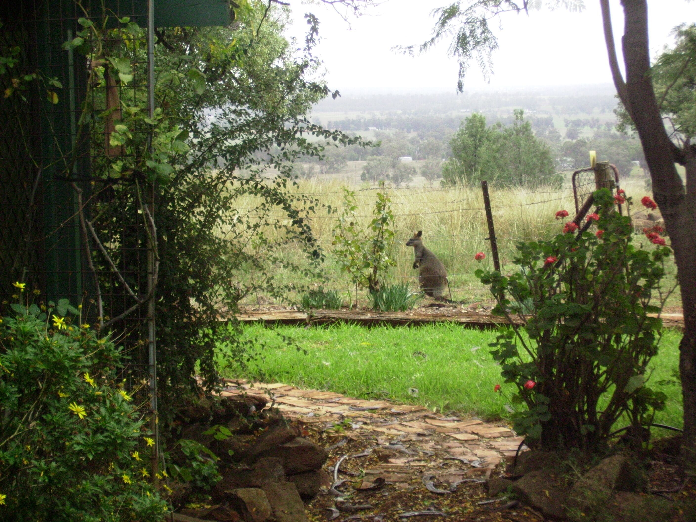 Earth Studio with shared kitchen, short drive to Zoo, rural setting