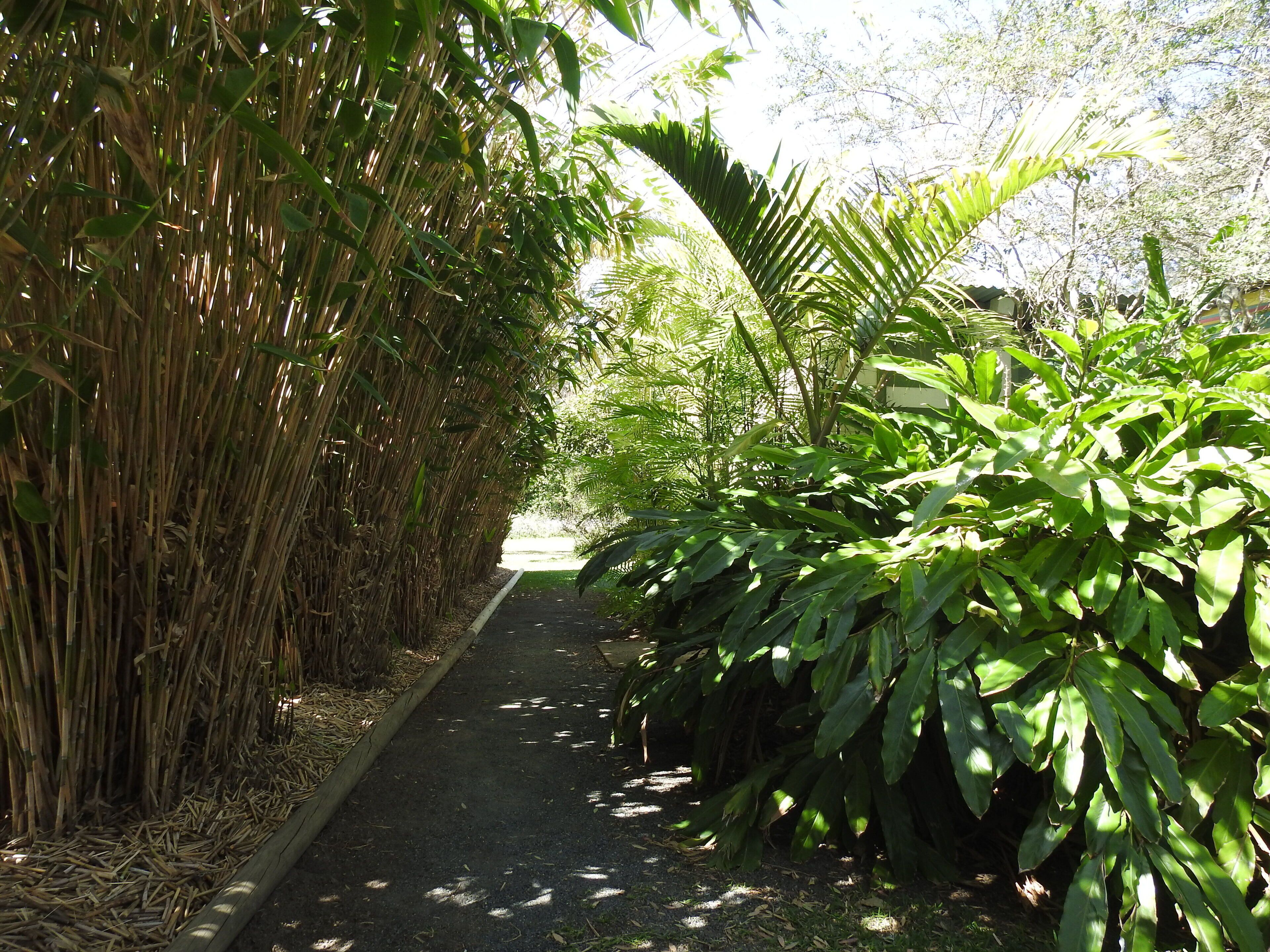 Mullaway On The Beach
