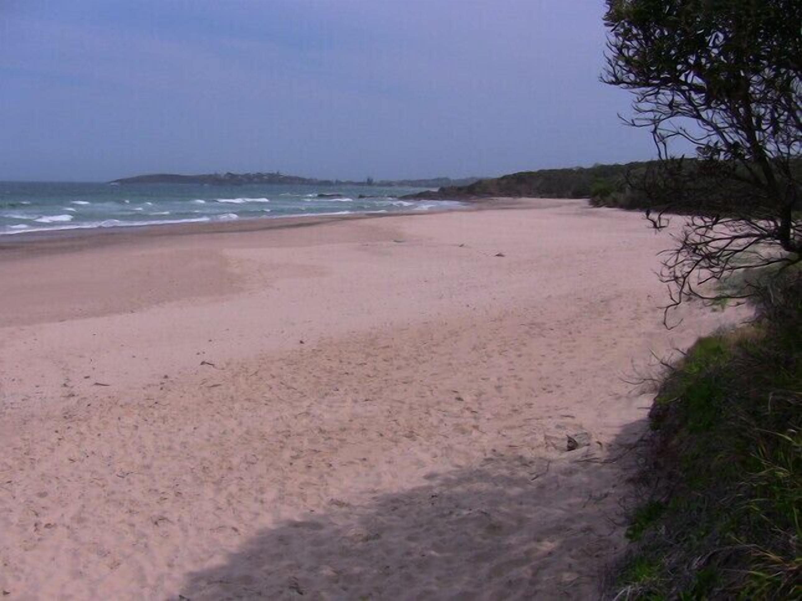Mullaway On The Beach