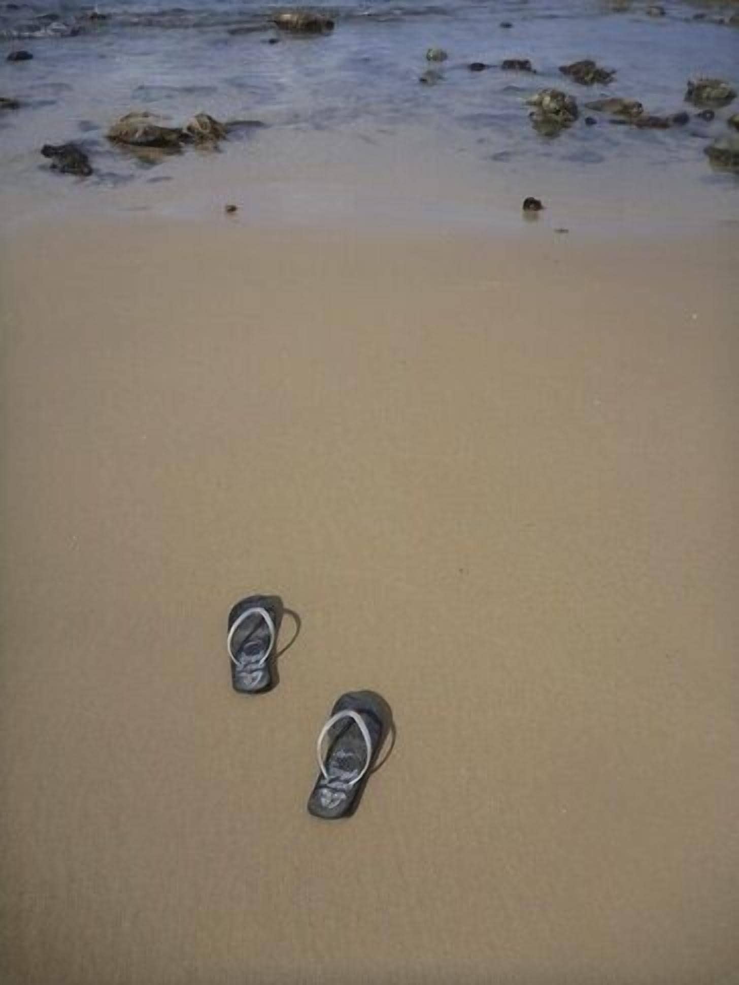 Mullaway On The Beach