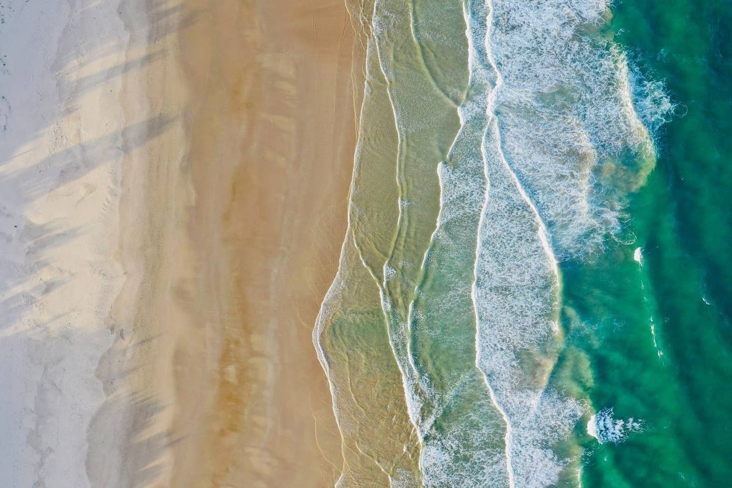 Mullaway On The Beach