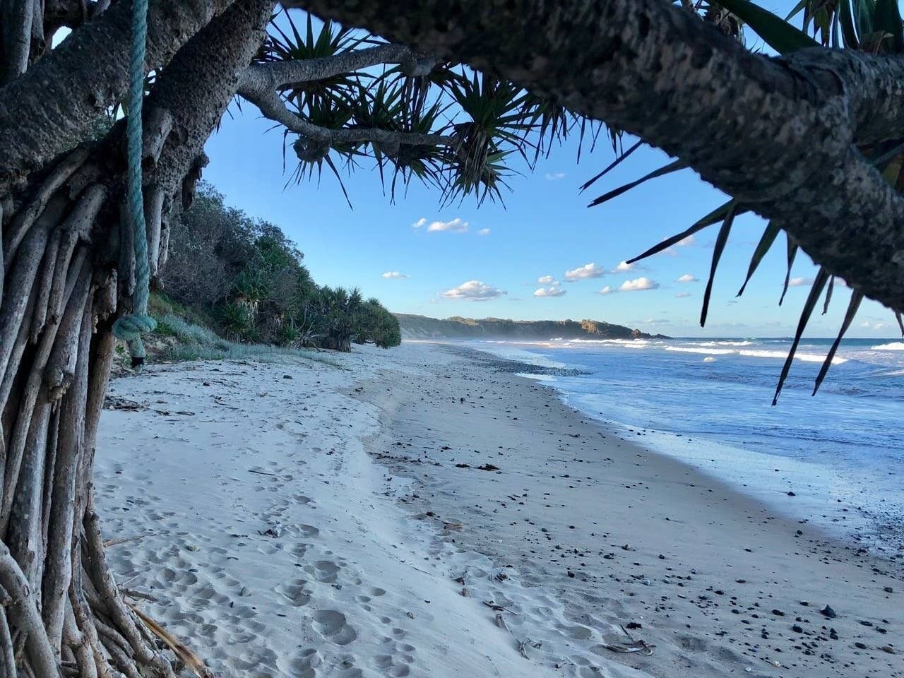Mullaway On The Beach