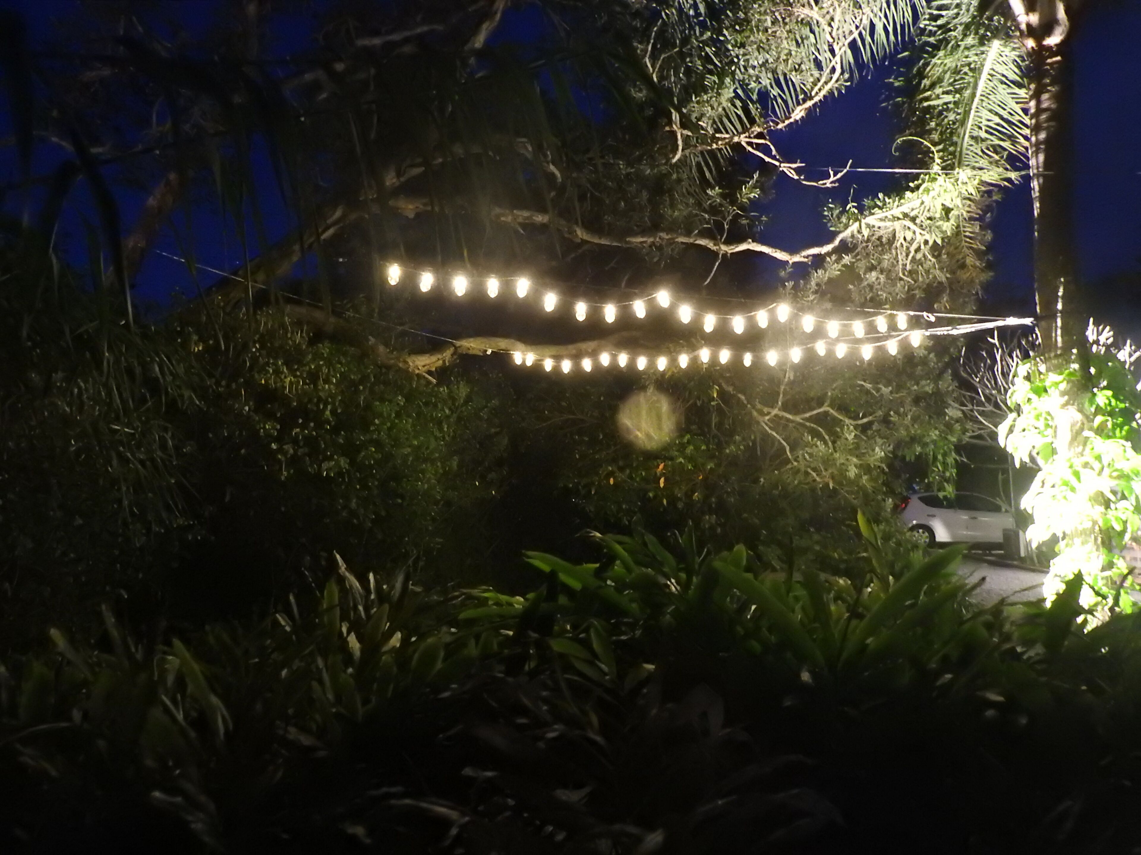 Mullaway On The Beach