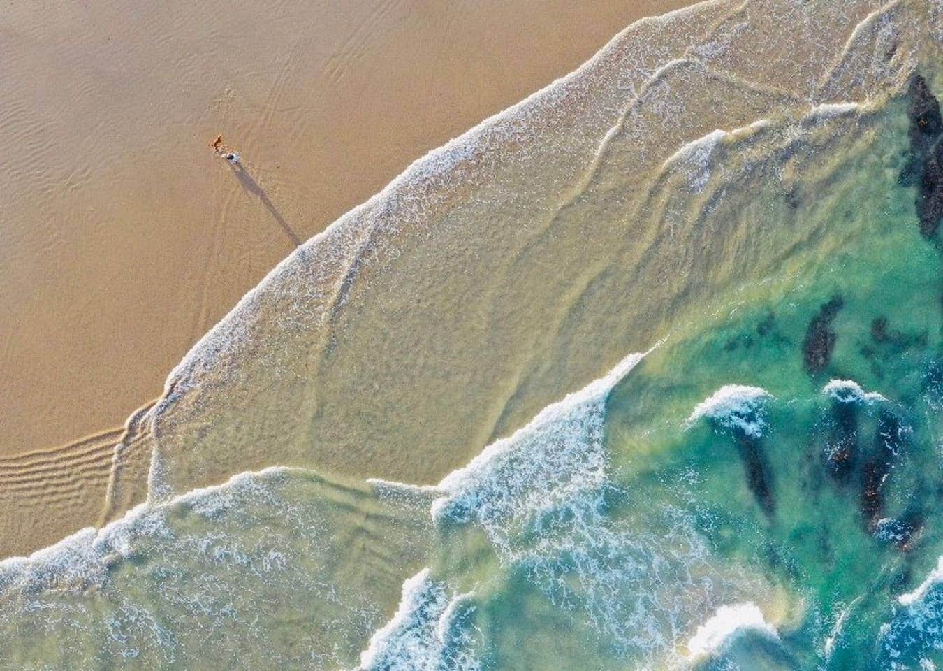 Mullaway On The Beach