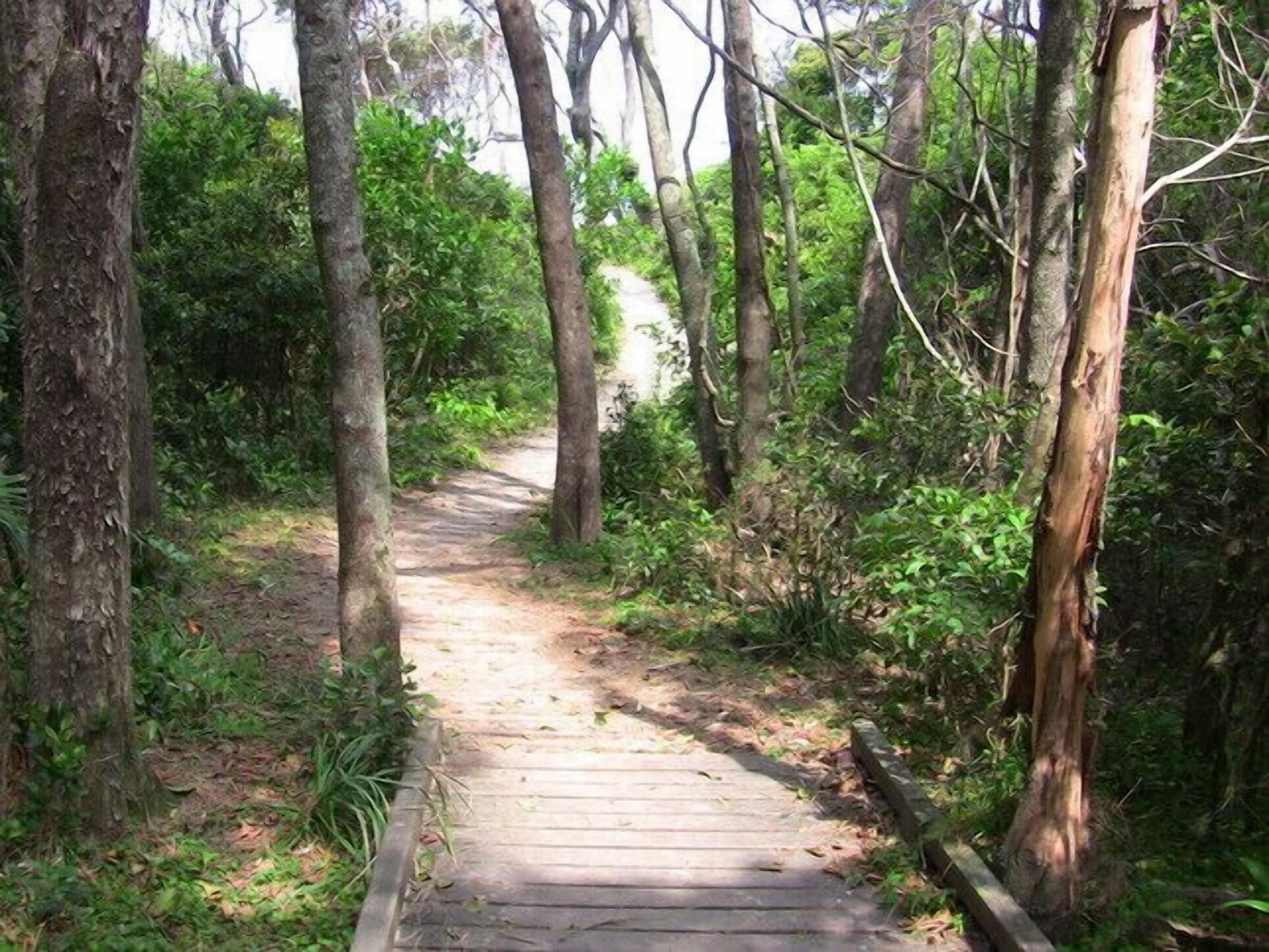 Mullaway On The Beach