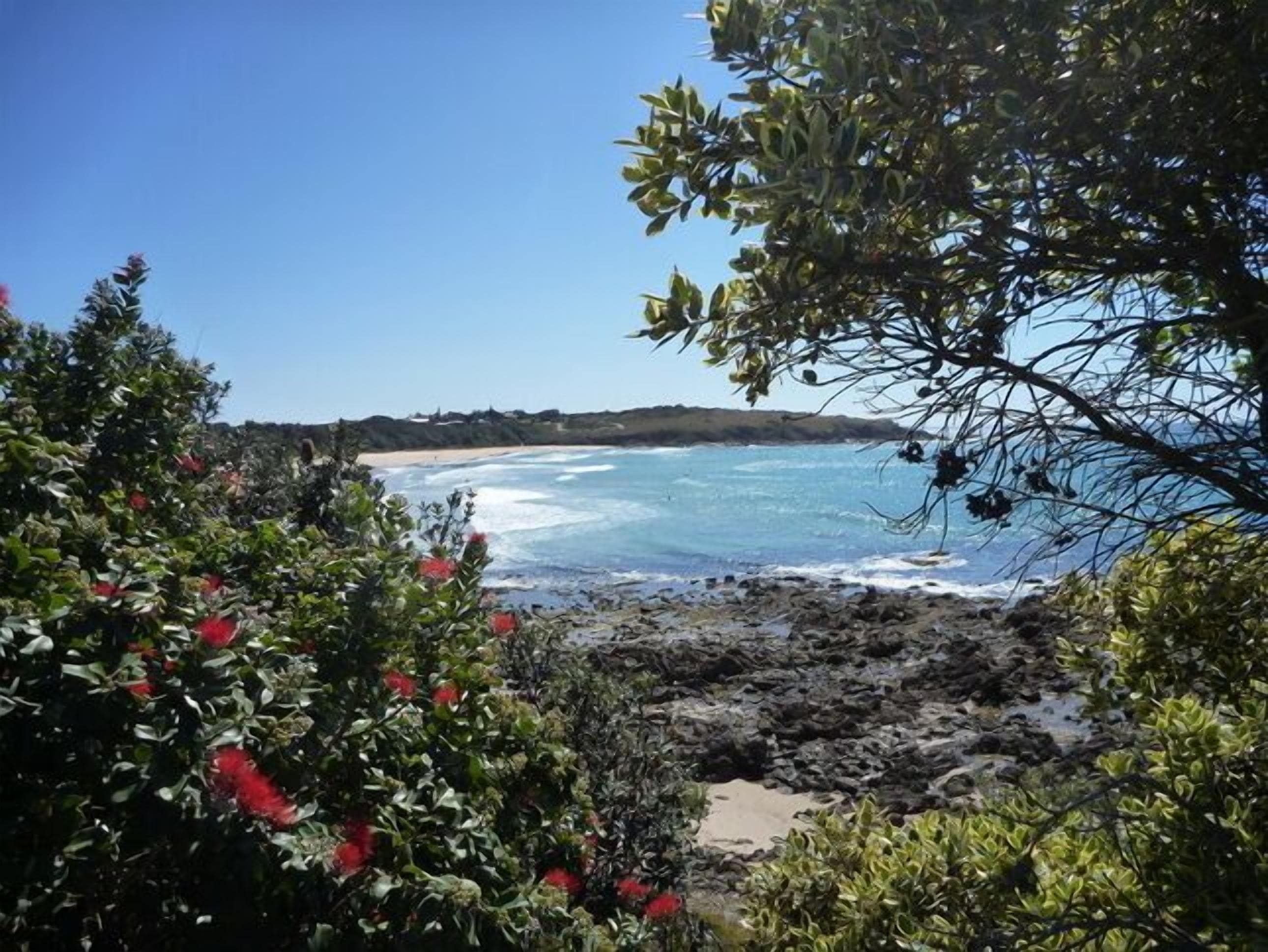 Mullaway On The Beach
