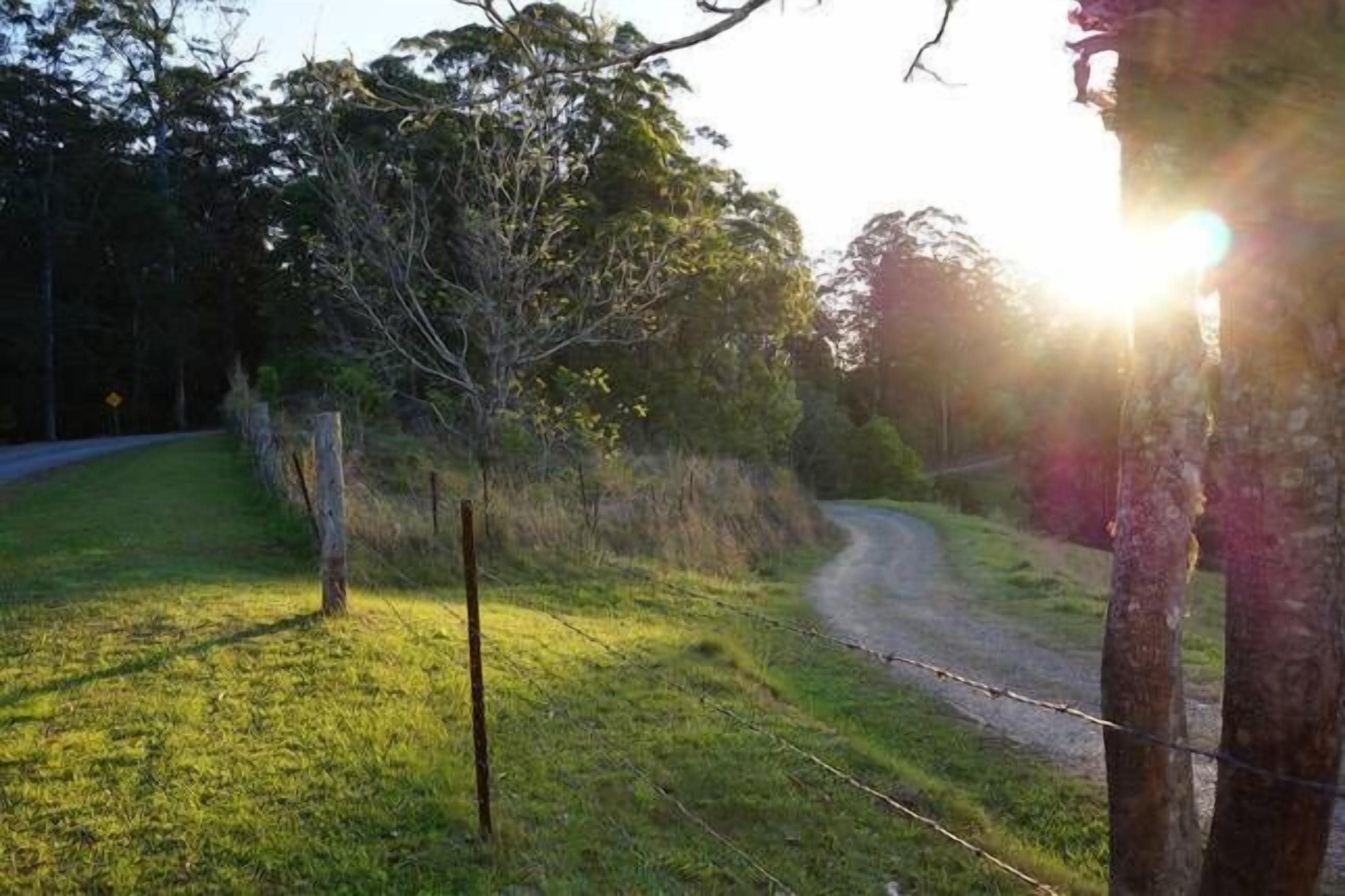 Bellingen Bed and Breakfast