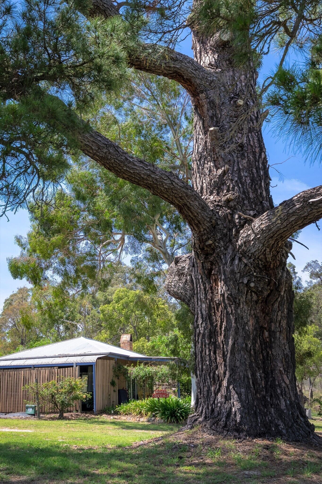 Rose Cottage Ballandean