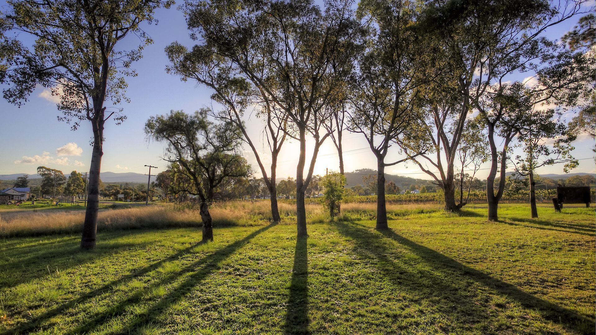 Rose Cottage Ballandean