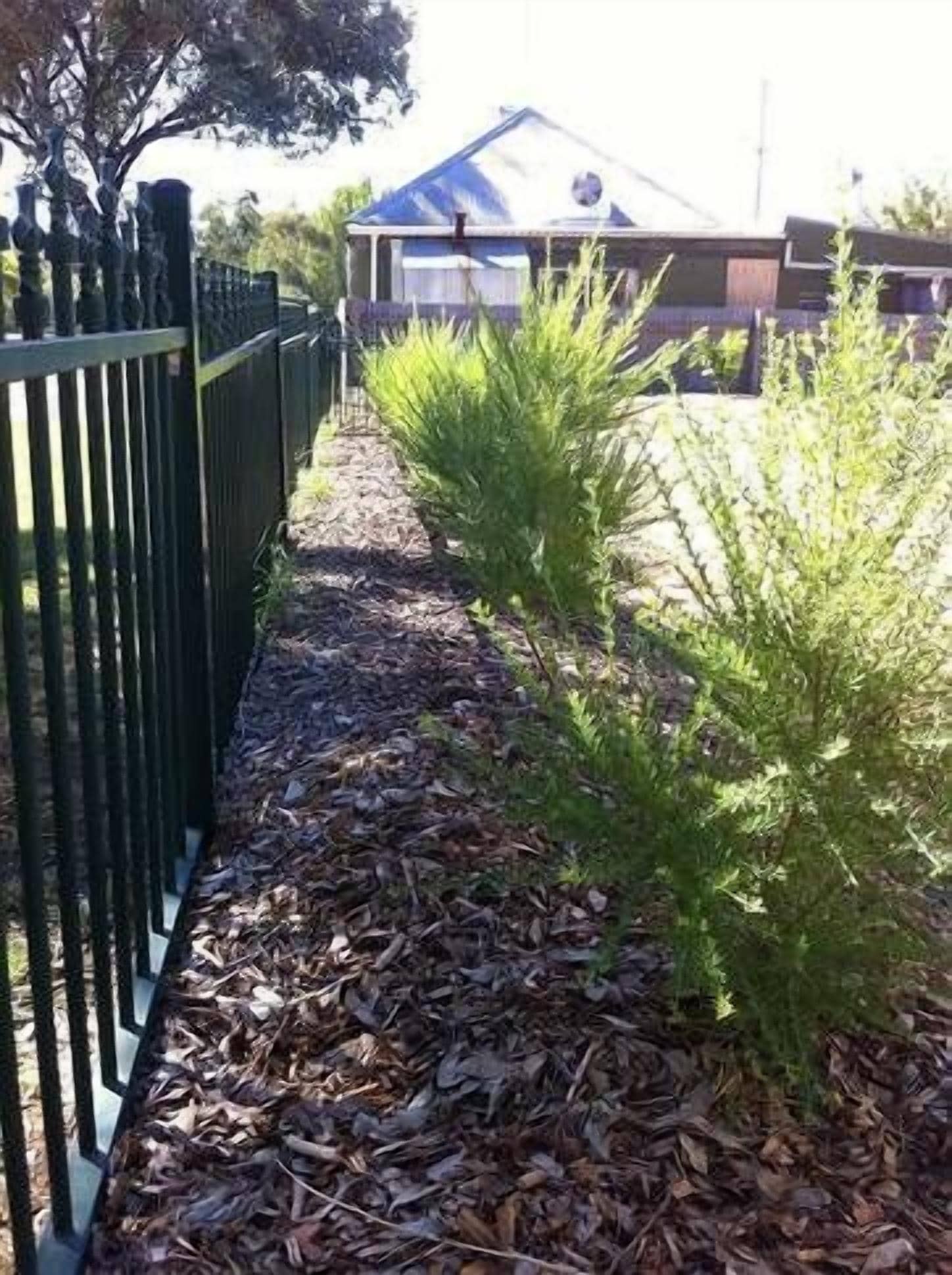 Bamboo Cottage Bed & Breakfast