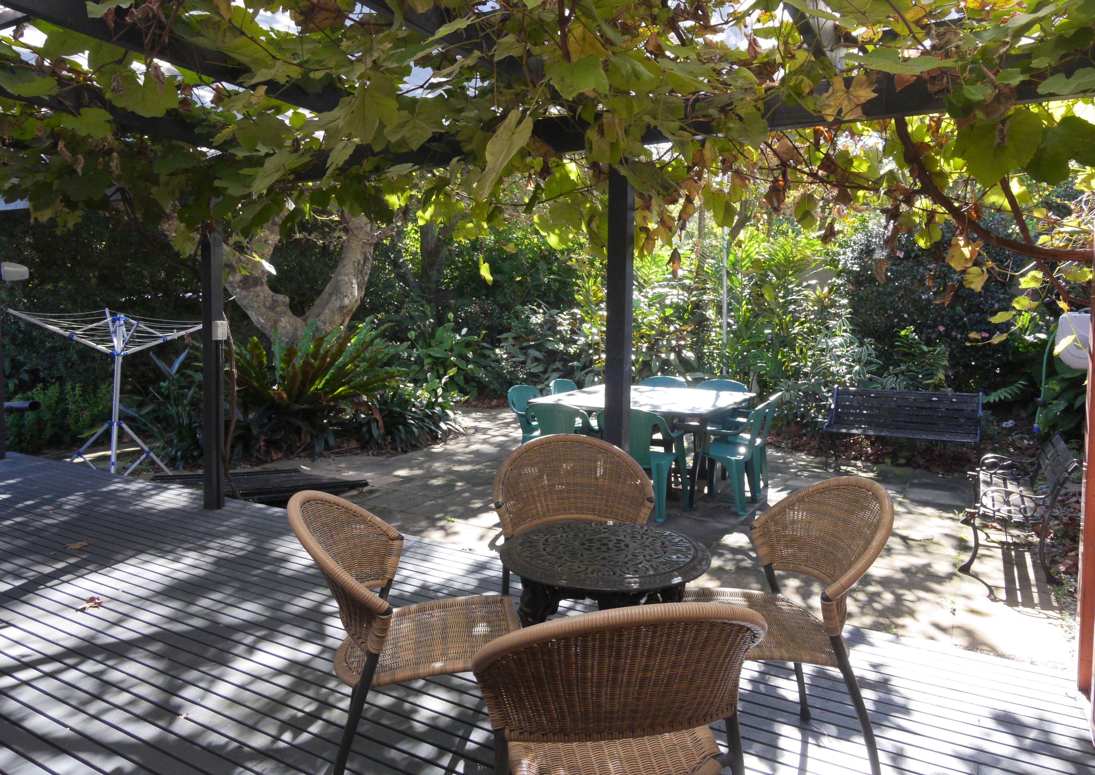 Ginger - Enjoy a taste of luxury at Sawtell