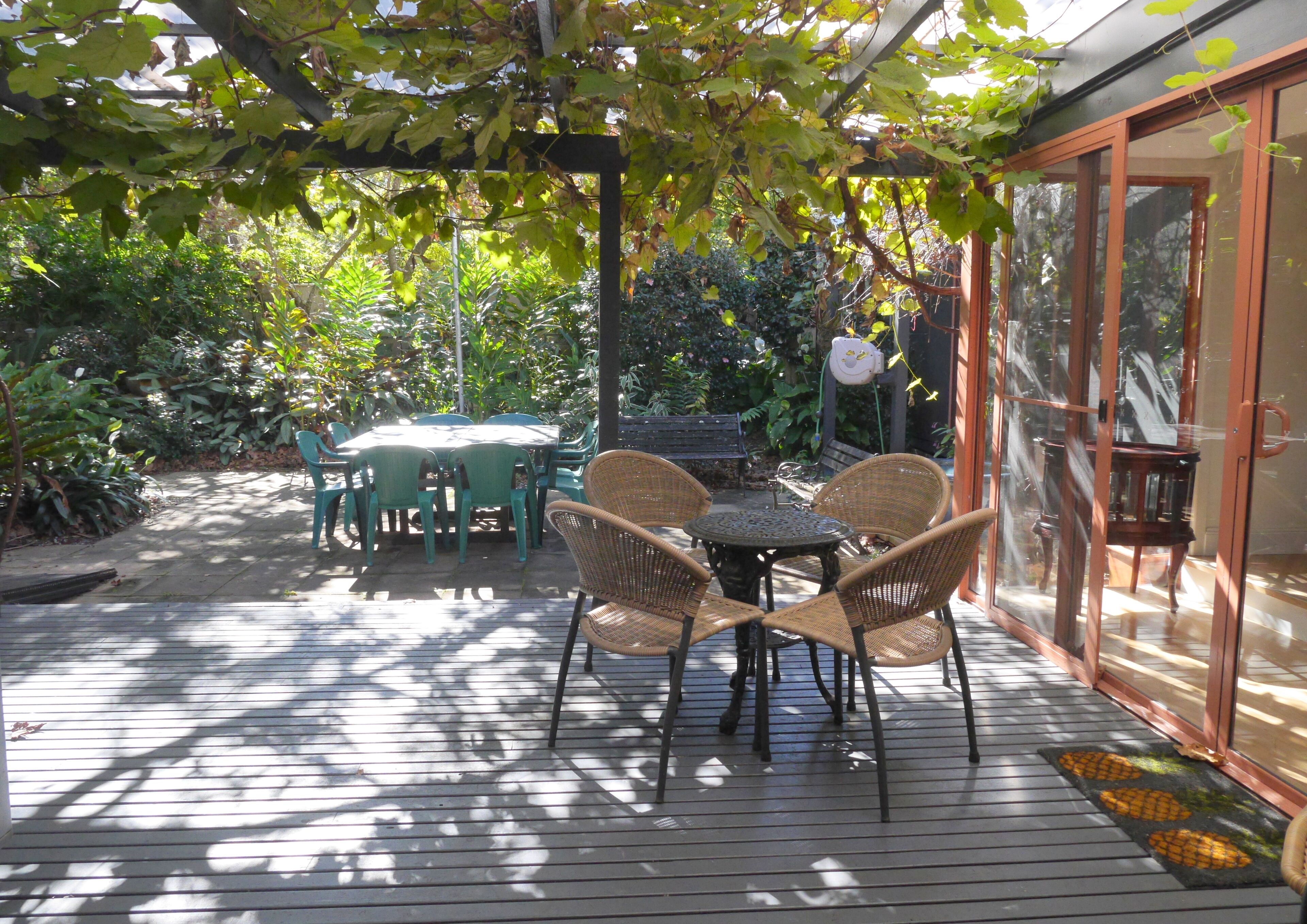 Ginger - Enjoy a taste of luxury at Sawtell