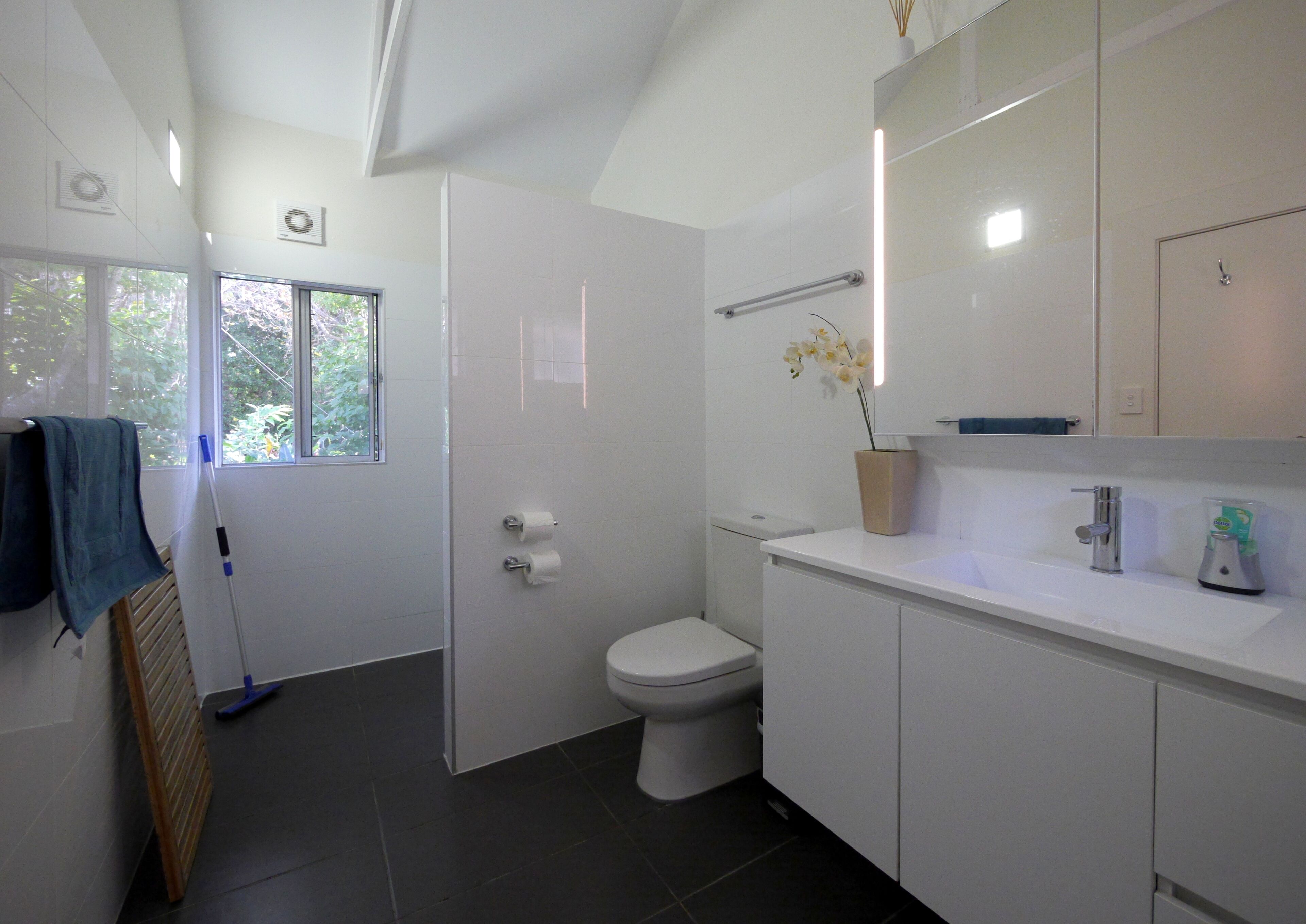 Ginger - Enjoy a taste of luxury at Sawtell