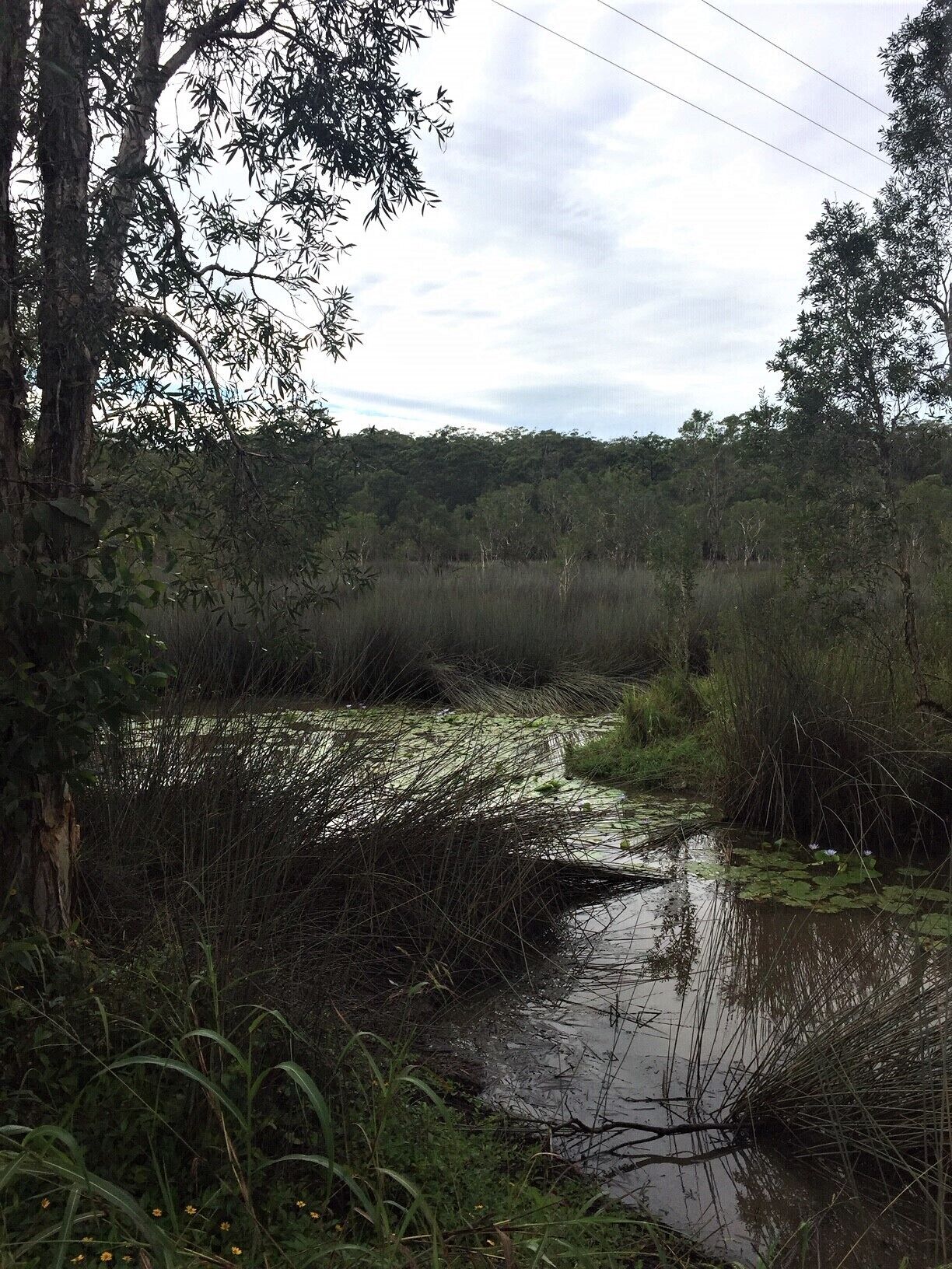 Island Container Bird House