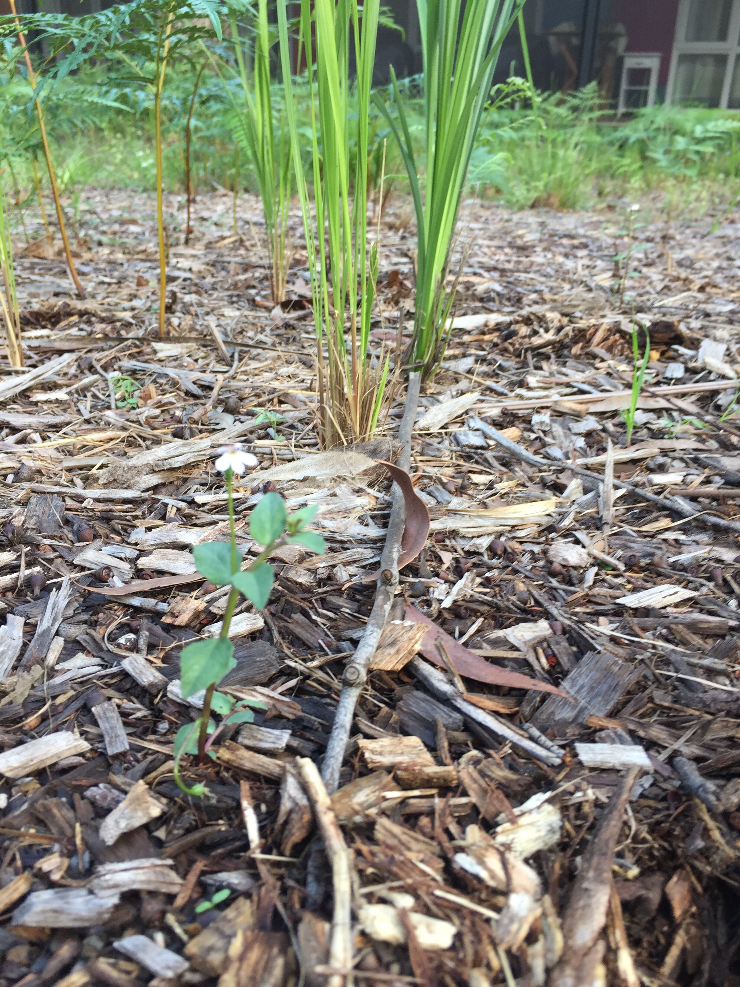 Island Container Bird House
