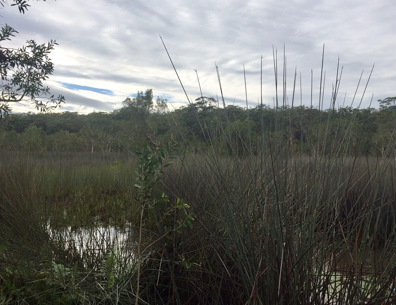 Island Container Bird House