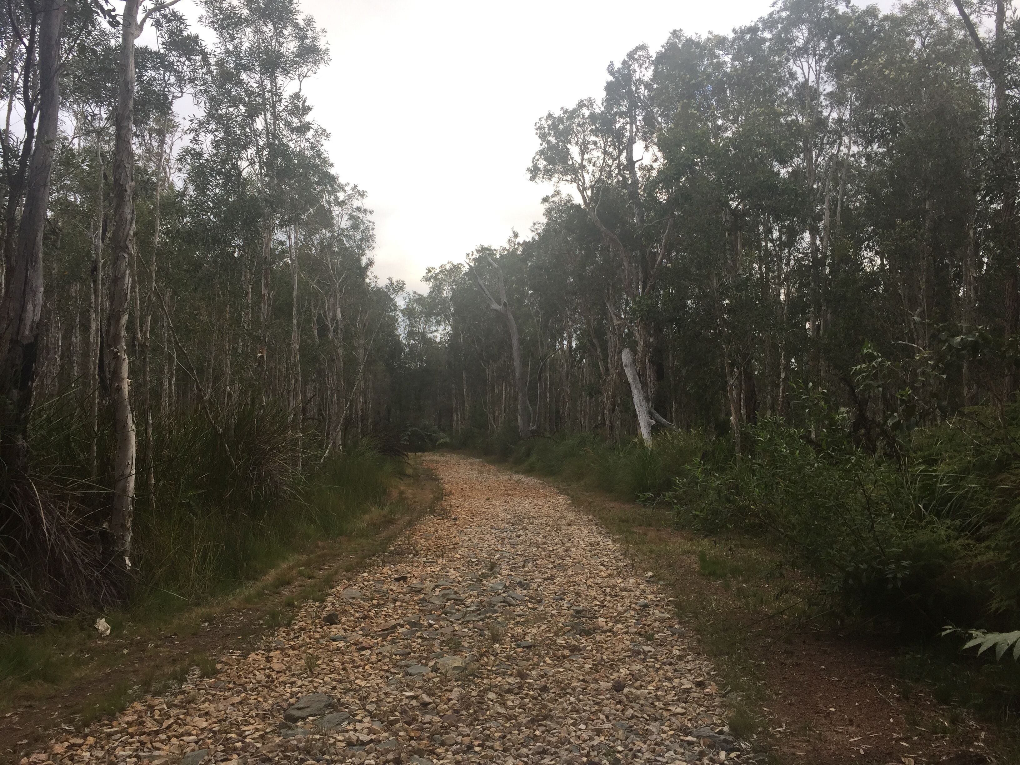 Island Container Bird House