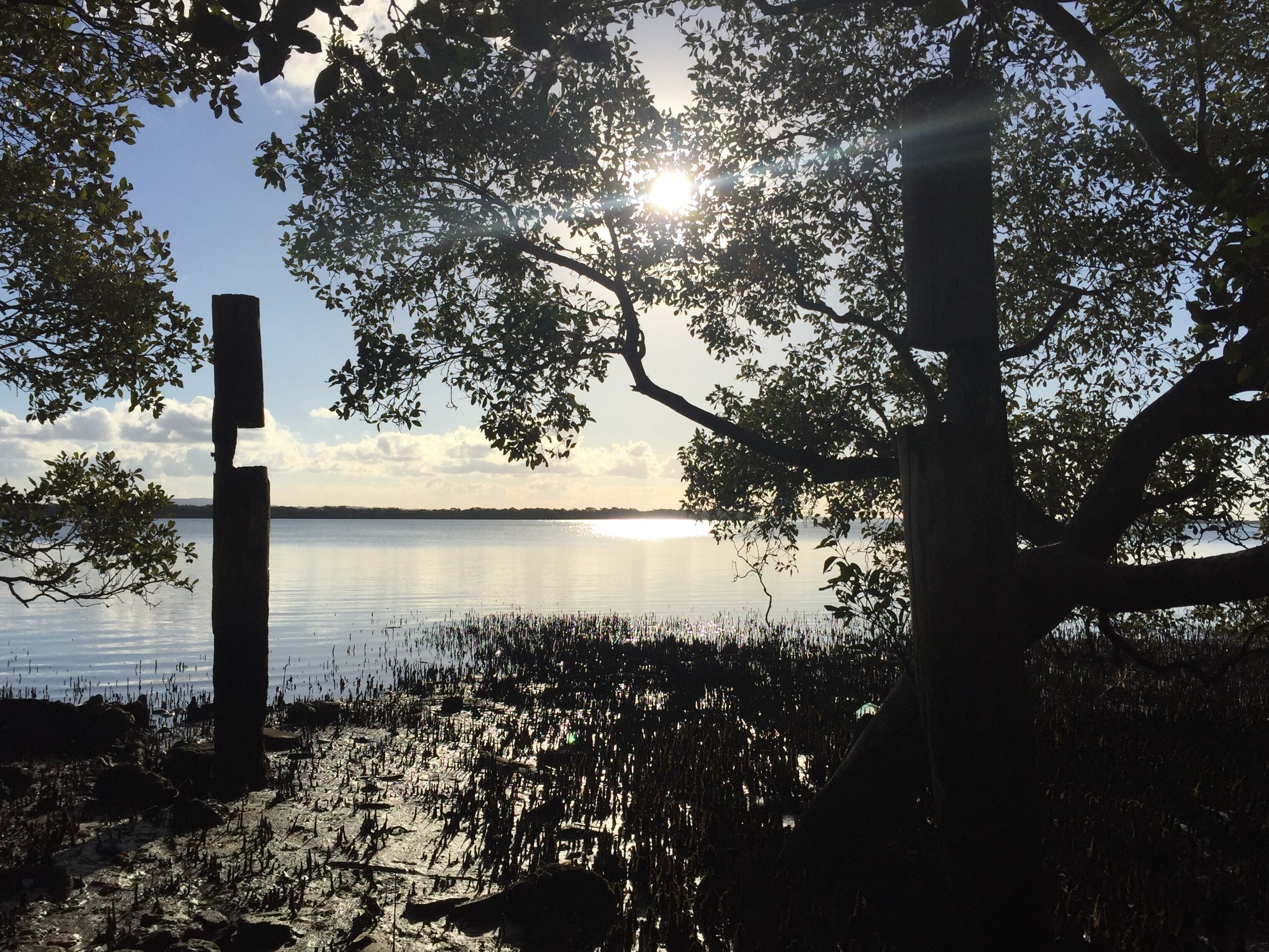 Island Container Bird House