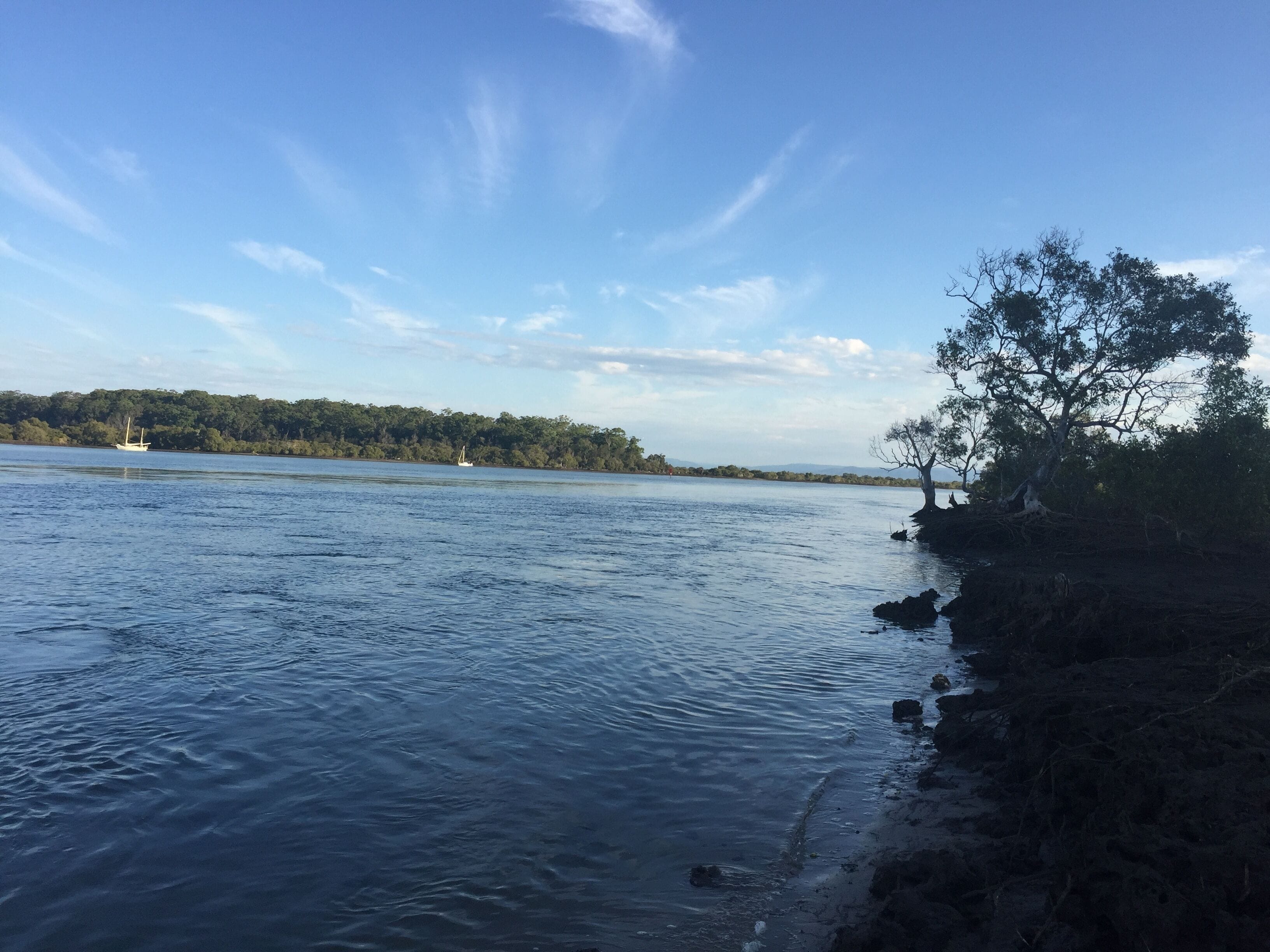 Island Container Bird House