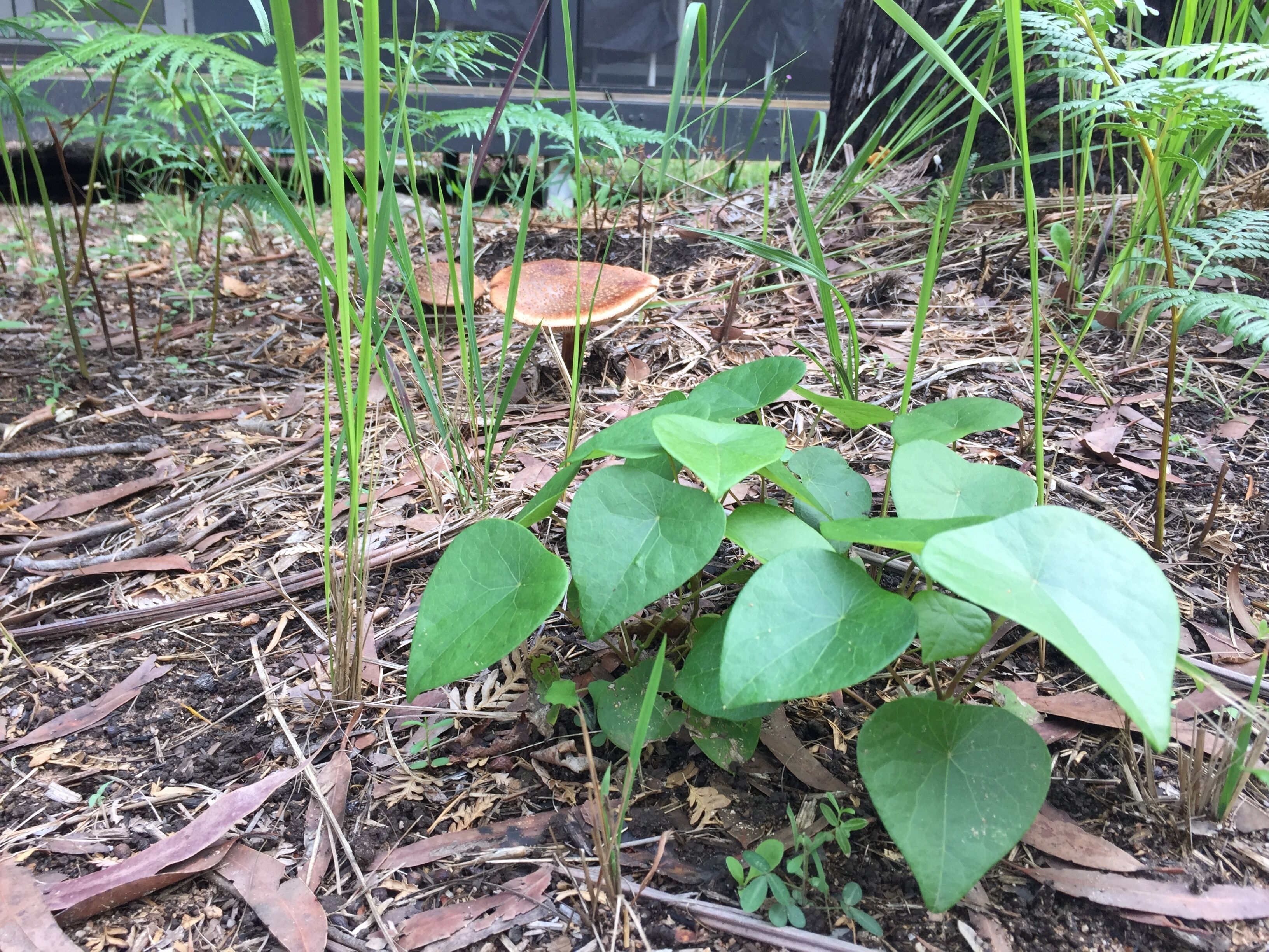 Island Container Bird House