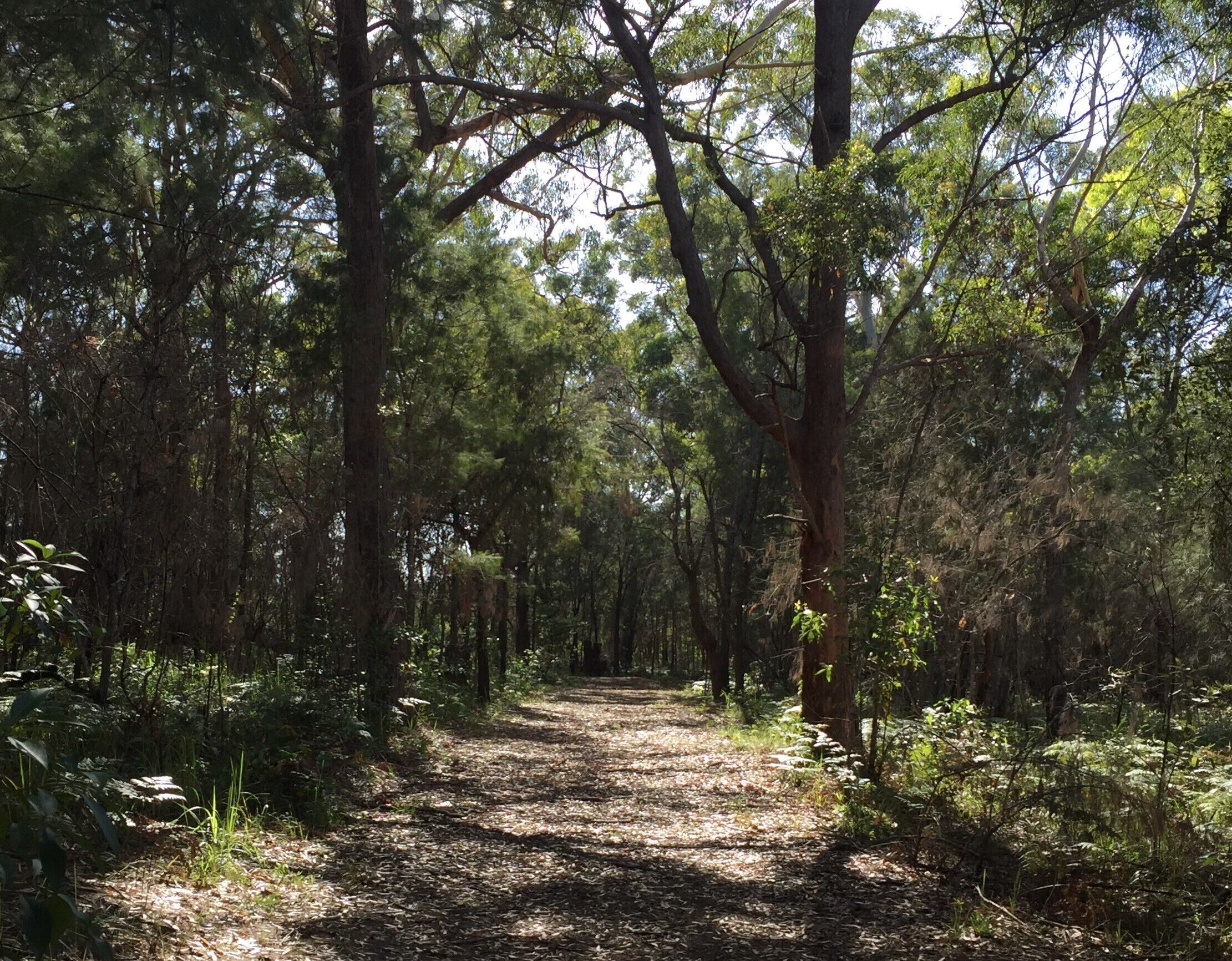 Island Container Bird House