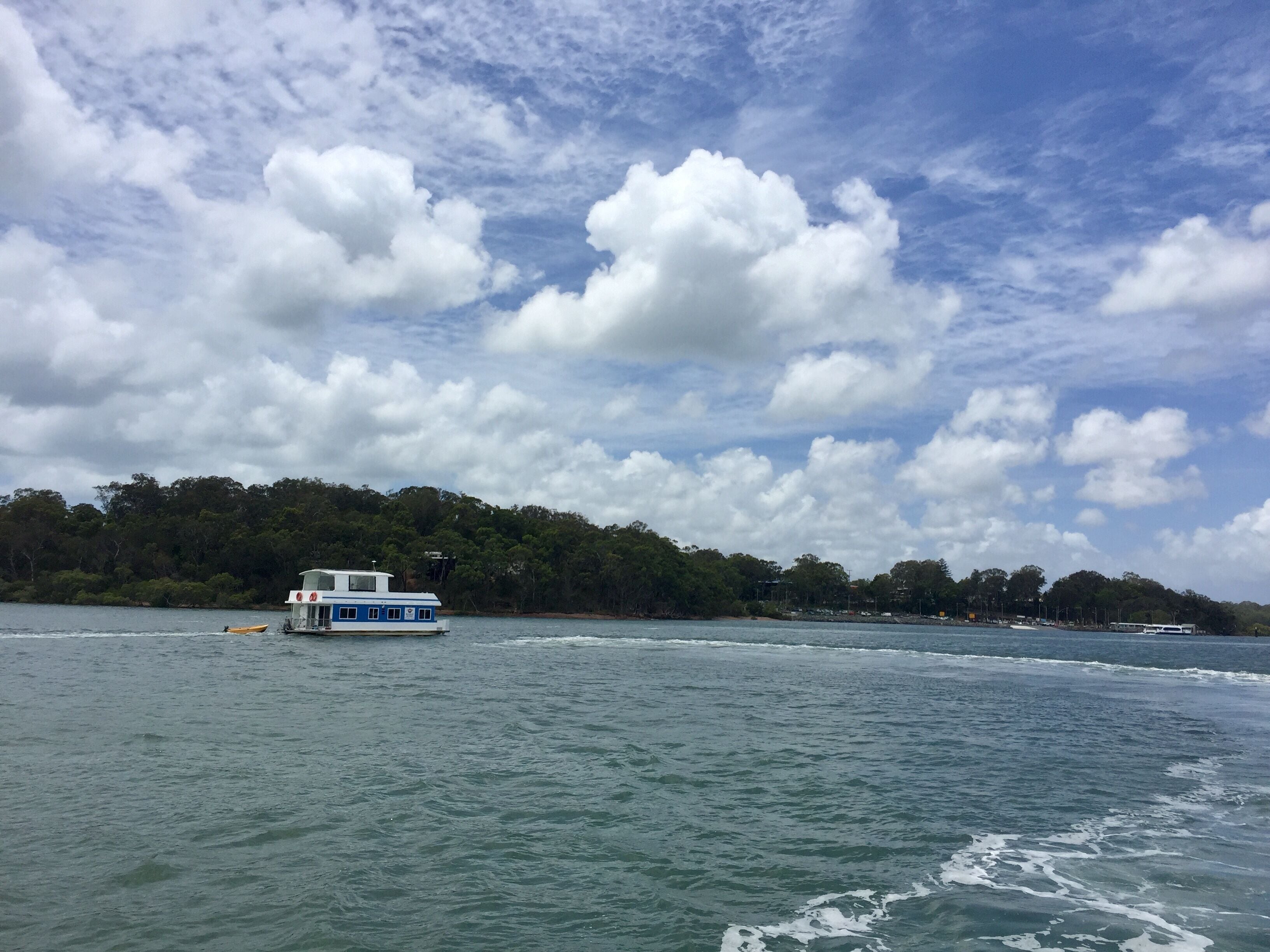 Island Container Bird House
