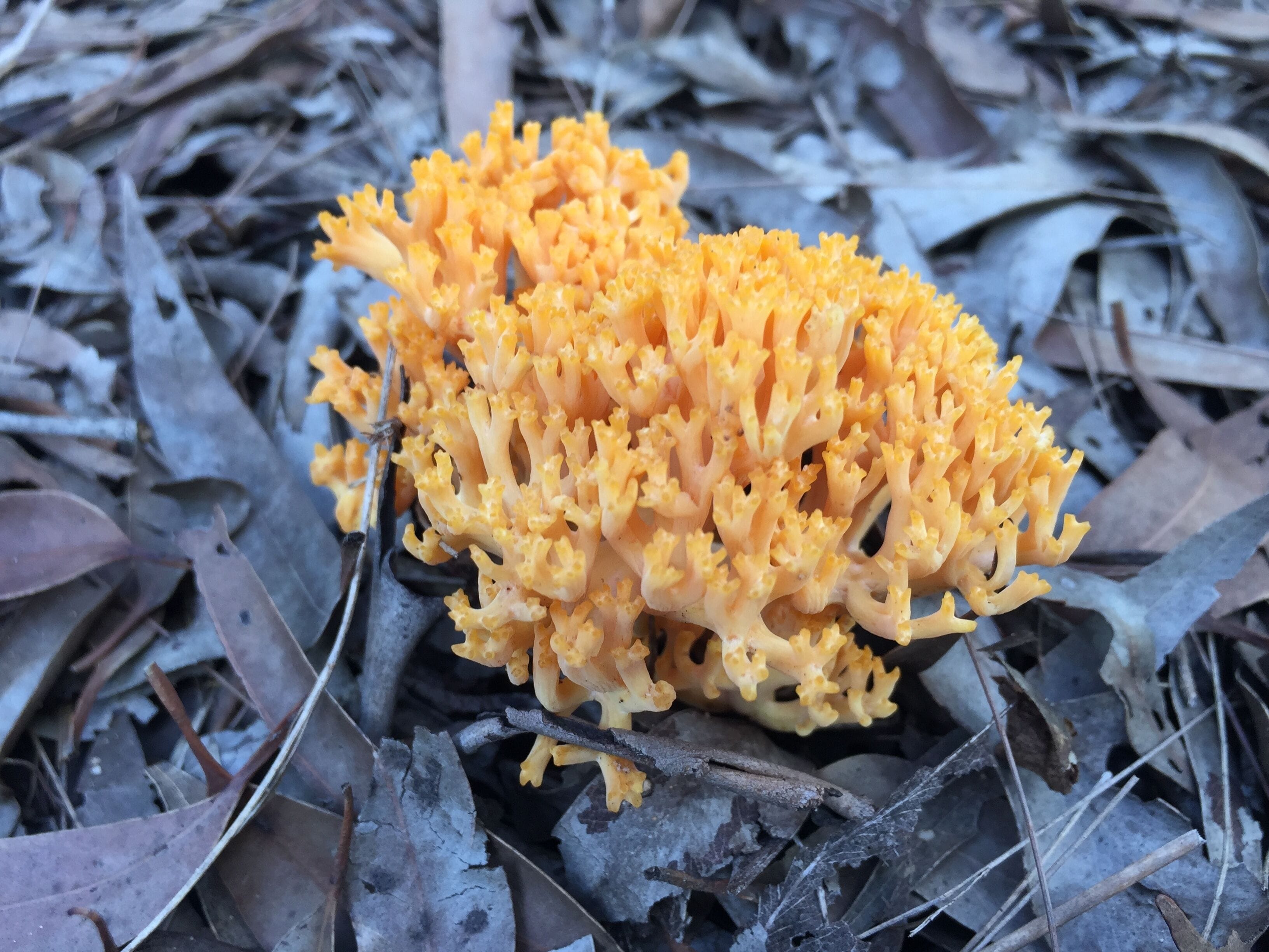 Island Container Bird House
